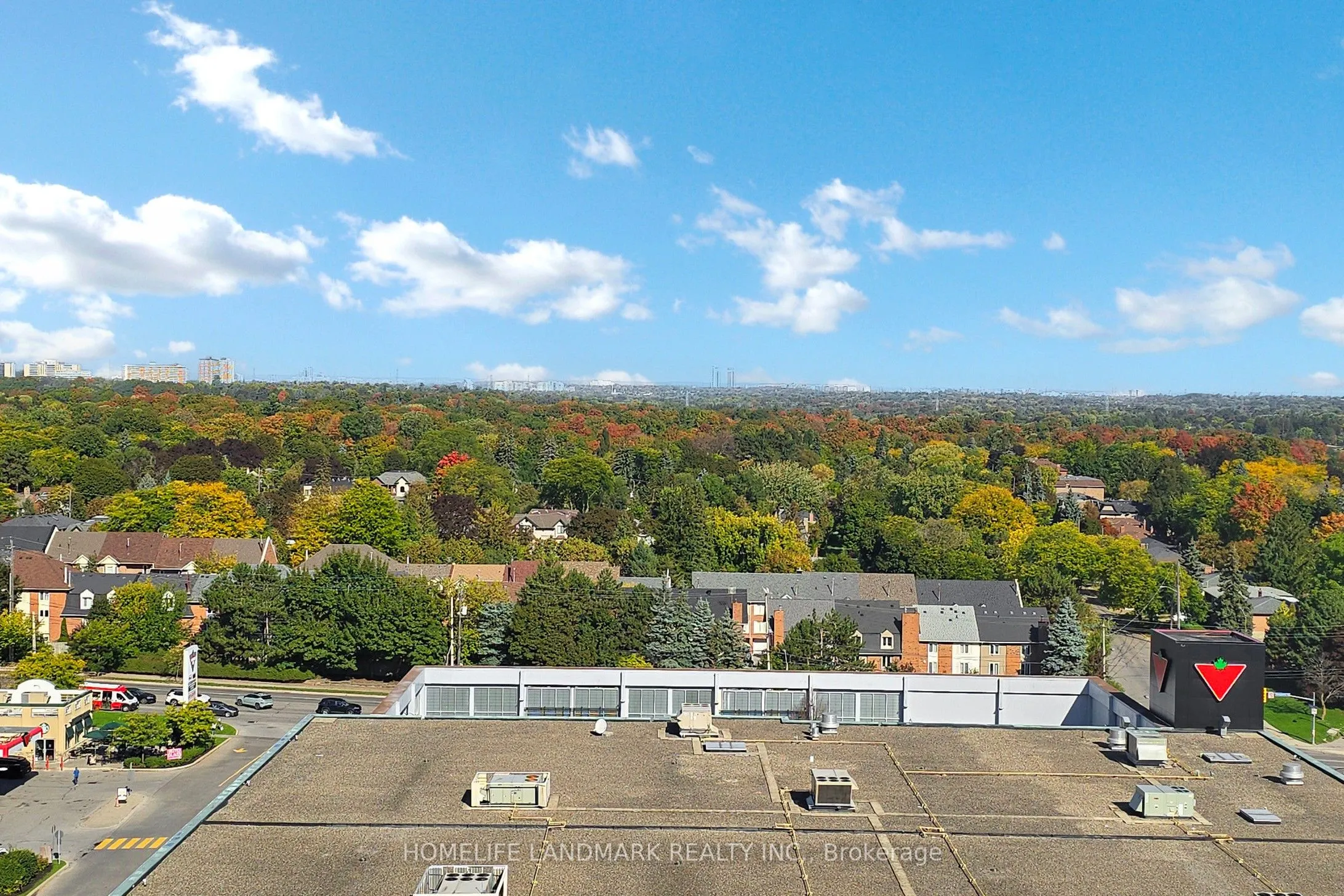 72 Esther Shiner Boulevard, #1509