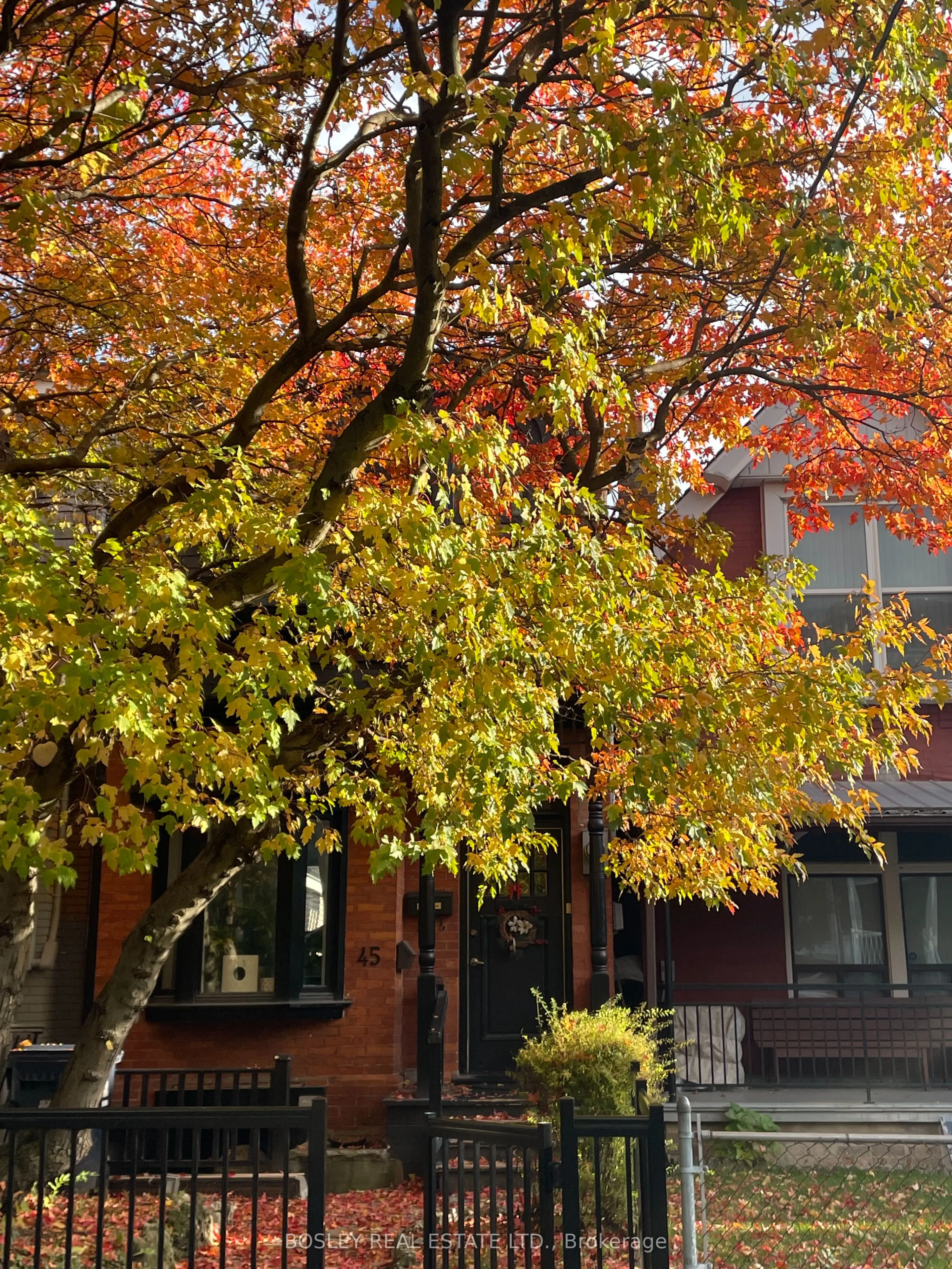 45 Shannon Street
