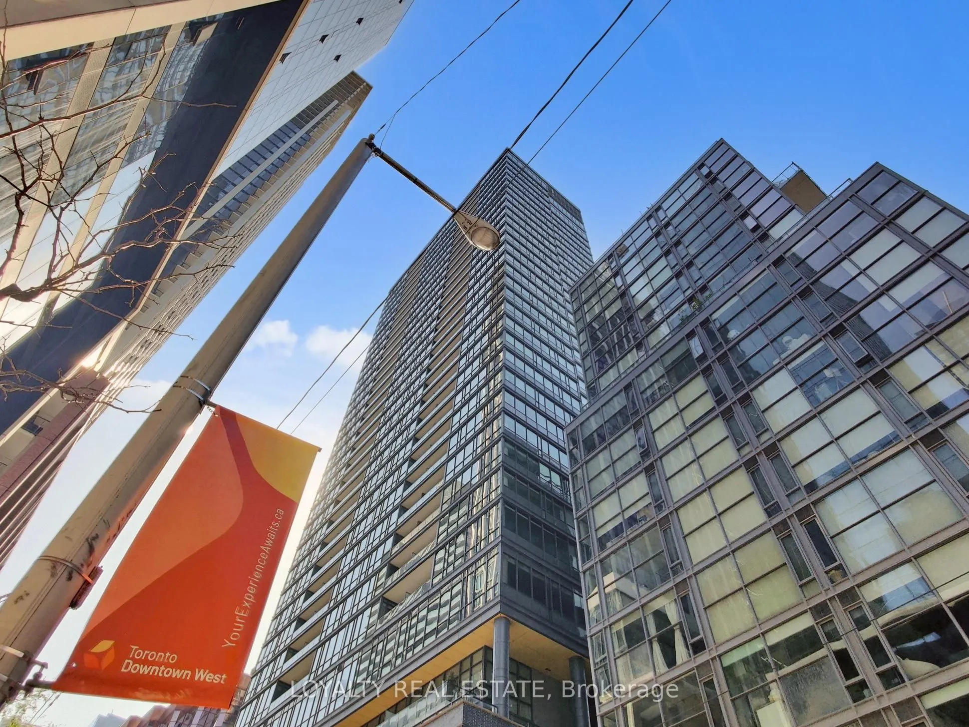 8 charlotte Street, #3305