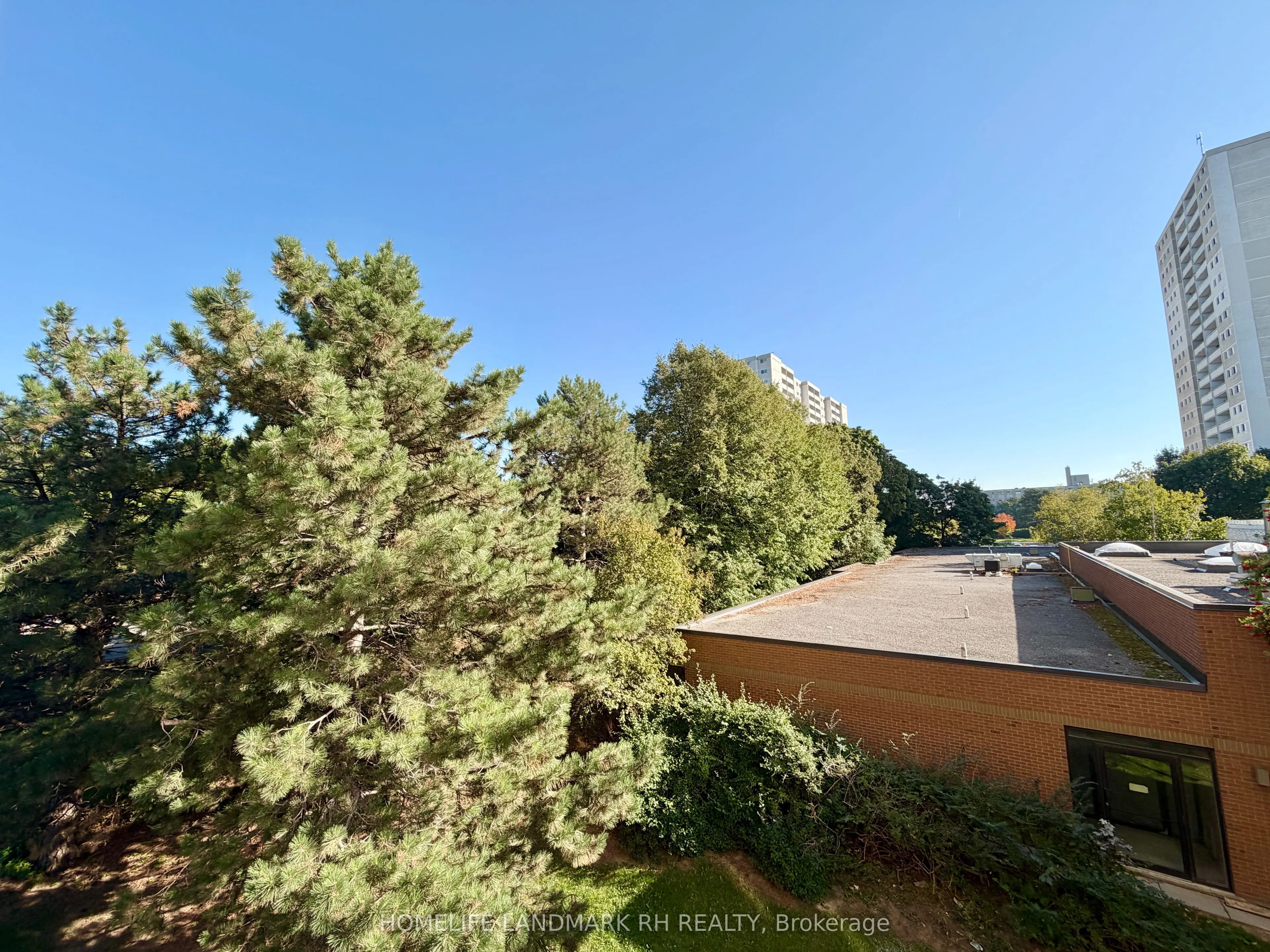 1338 York Mills Road, #311
