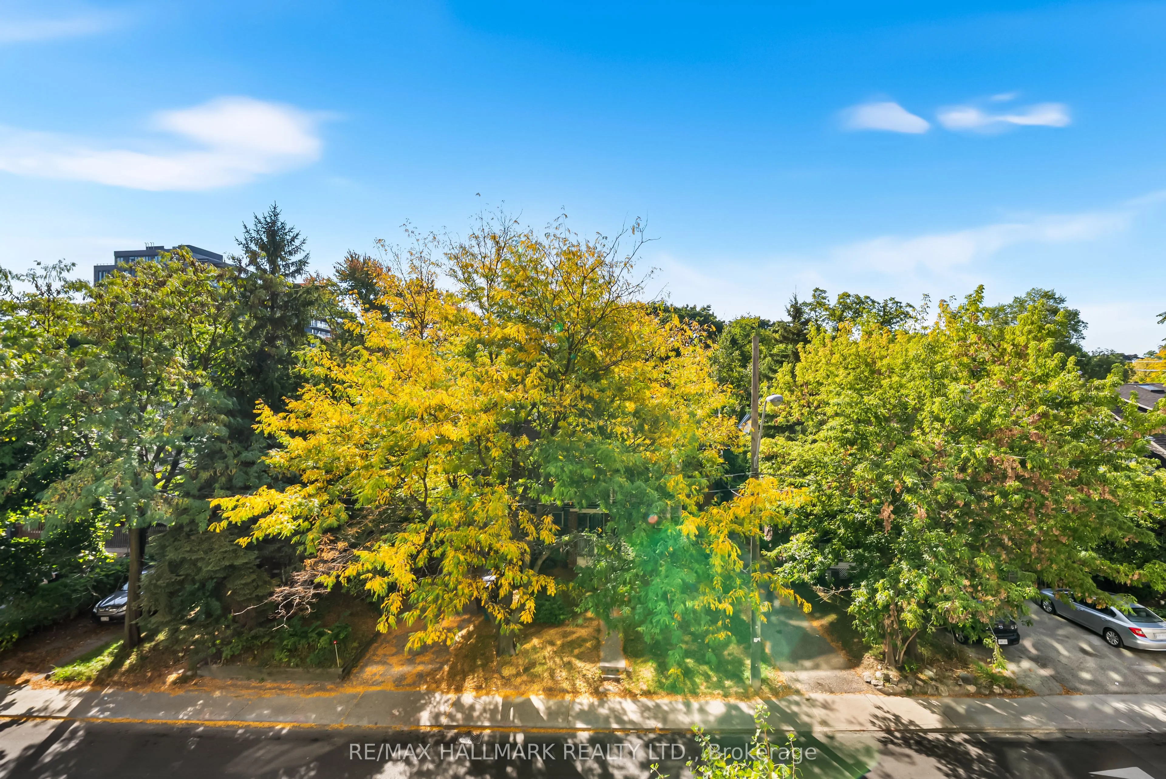 60 Berwick Avenue, #303