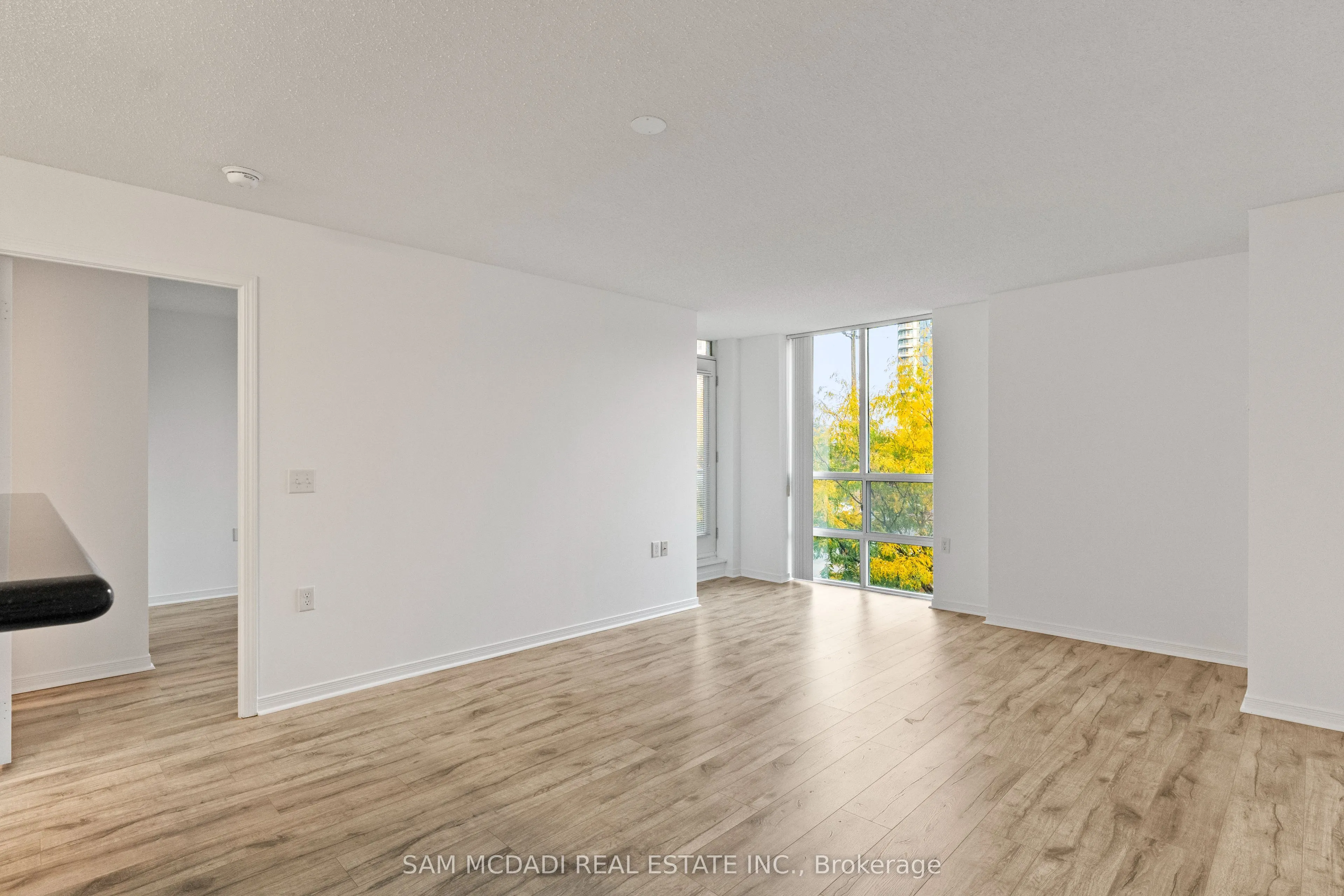 20 Olive Avenue, #206