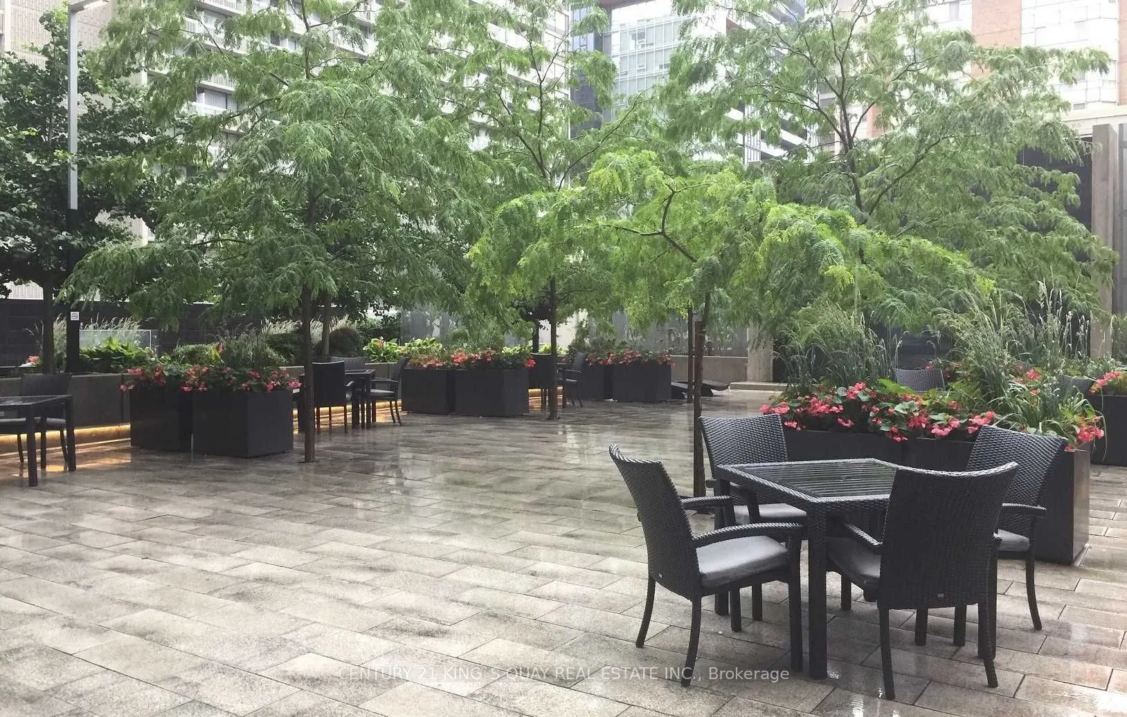 386 Yonge Street, #4815
