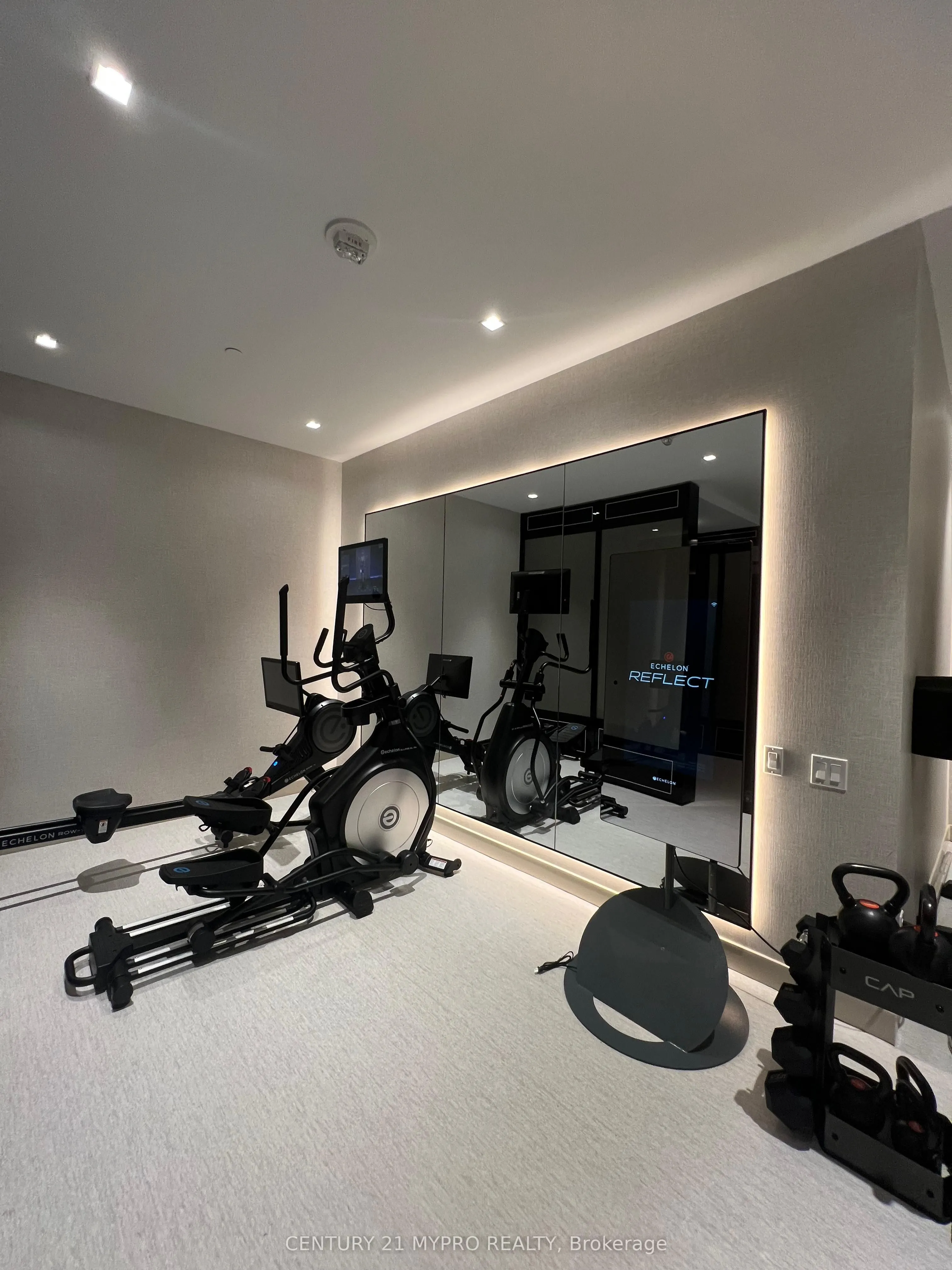 8 Wellesley Street W, #3616