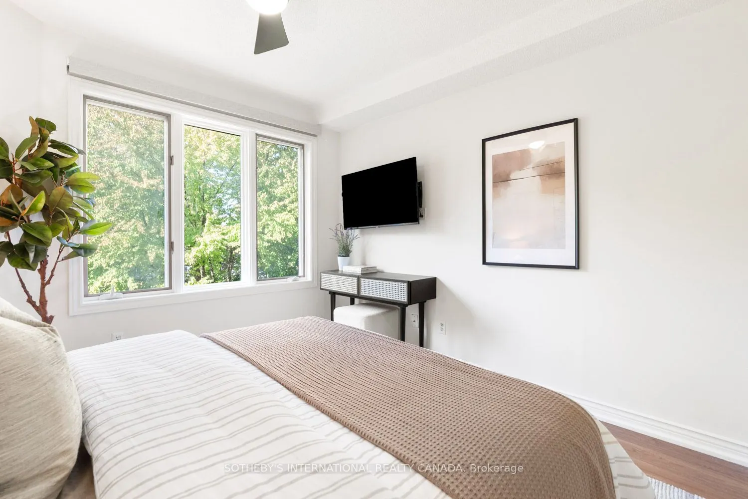 217 St. George Street, #6