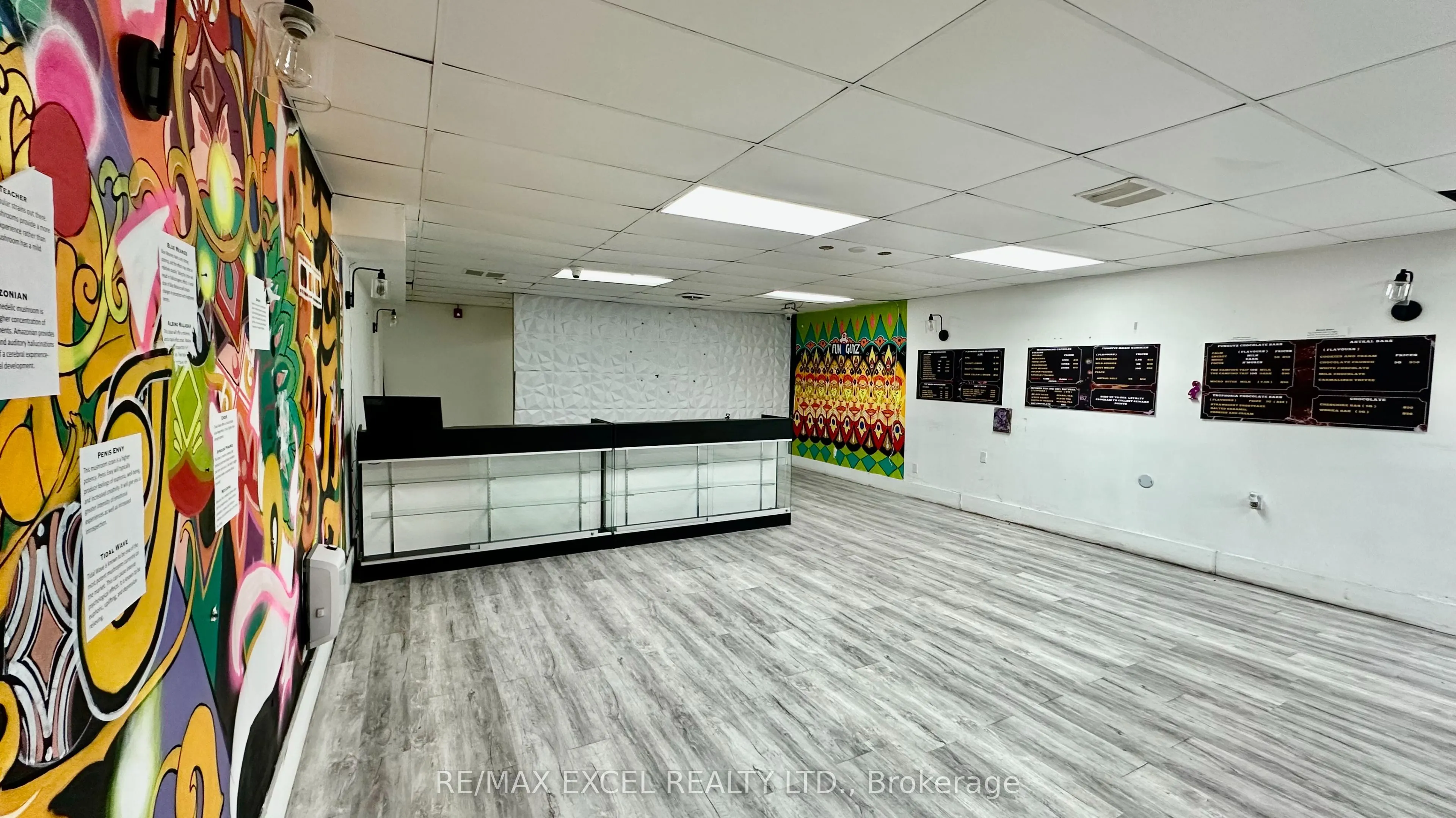 357 Spadina Avenue, #Lower