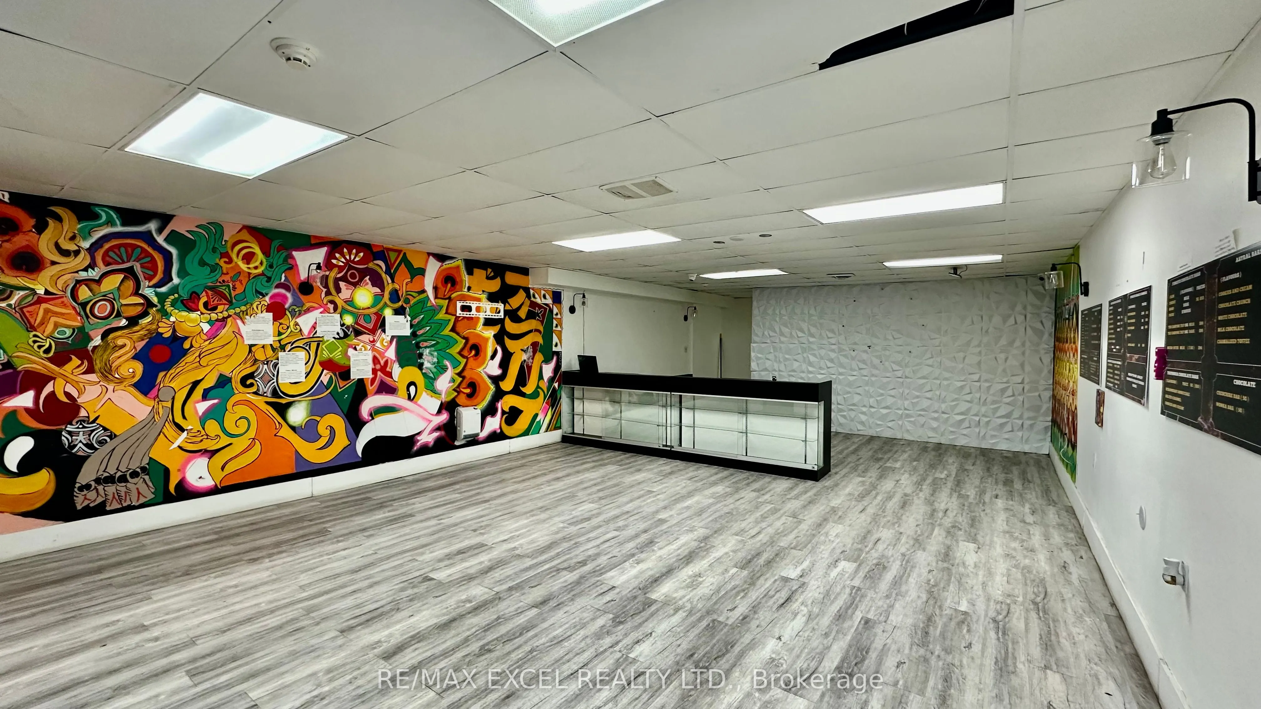 357 Spadina Avenue, #Lower