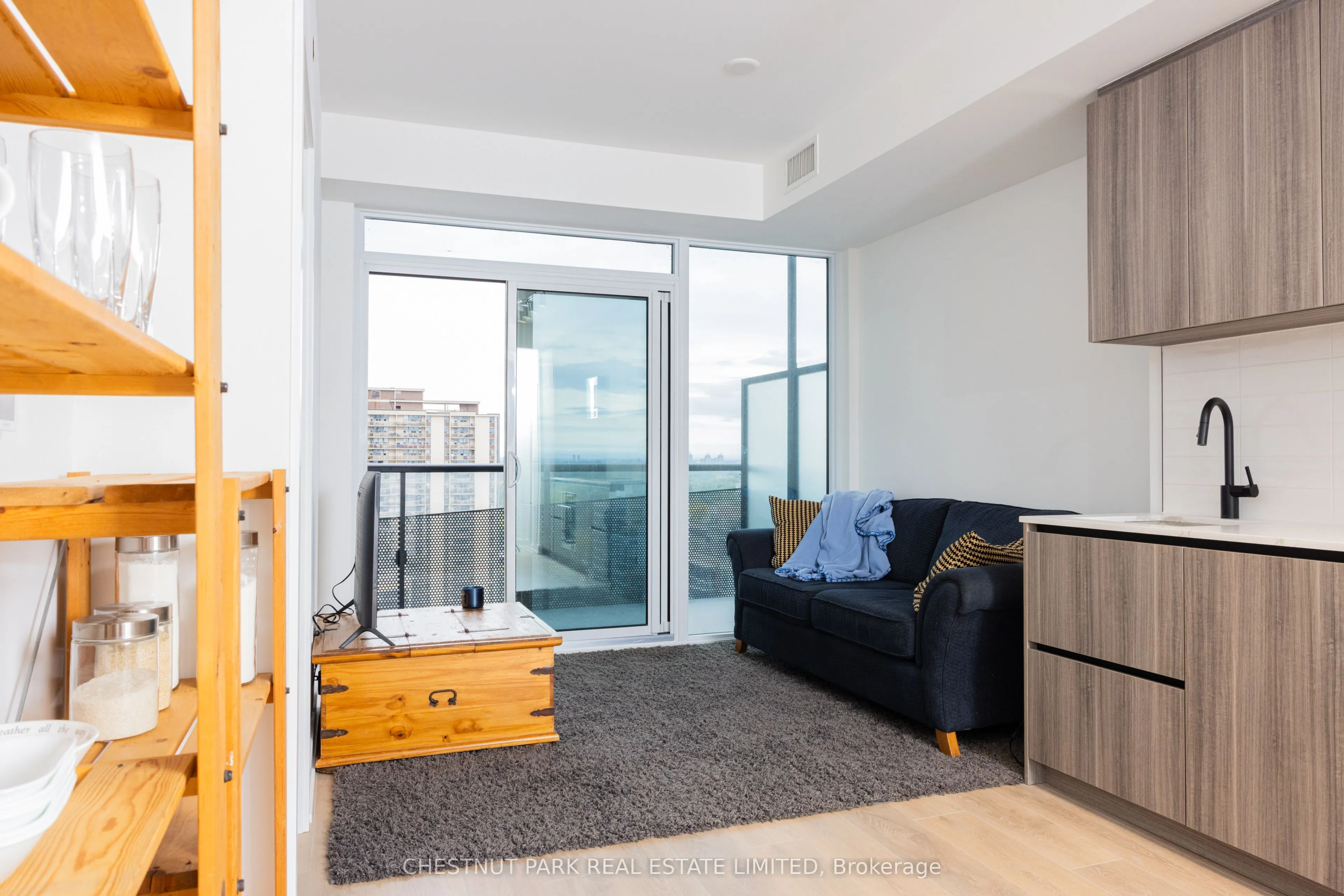 117 Broadway Avenue, #1807