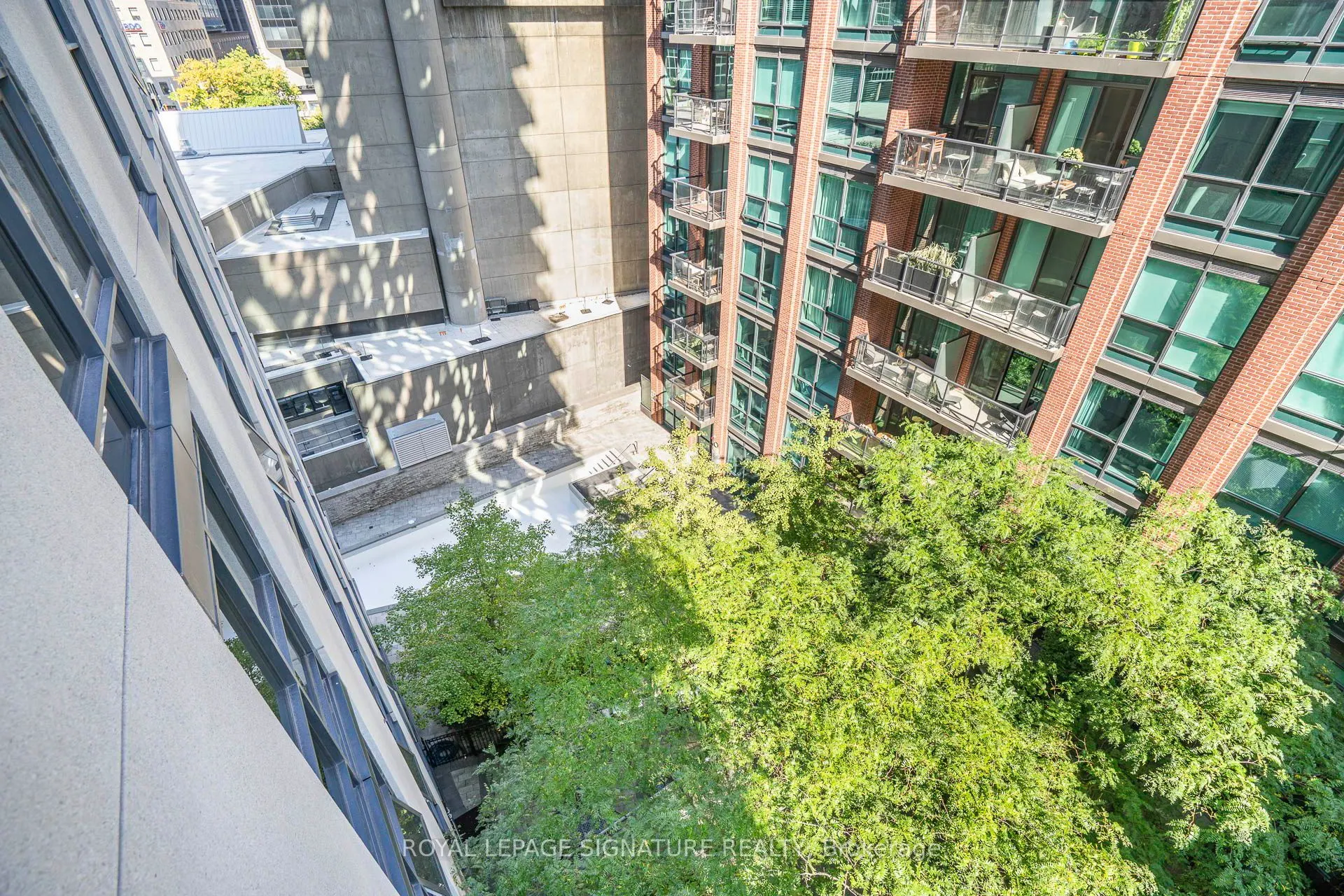 1 Scott Street, #801