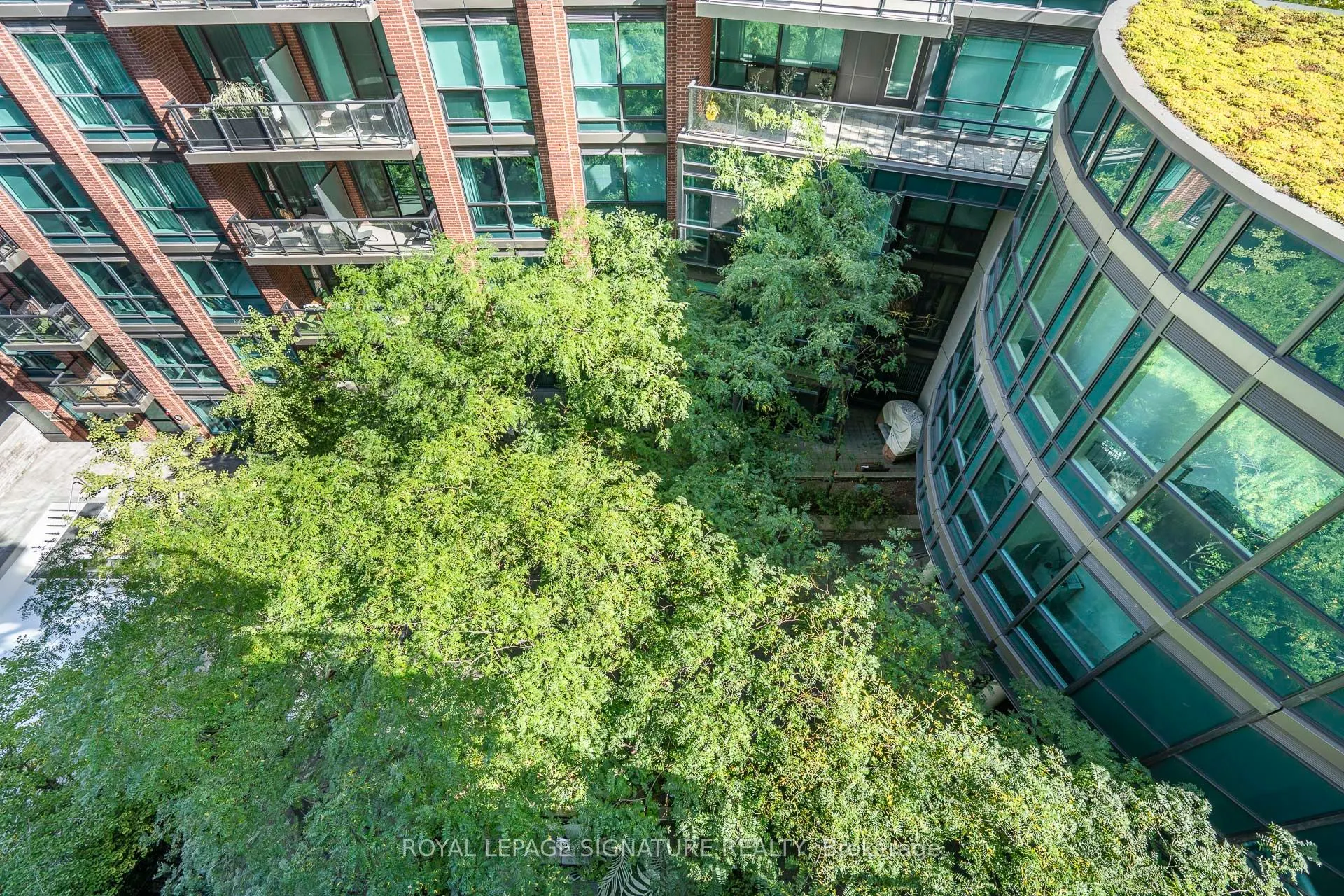 1 Scott Street, #801