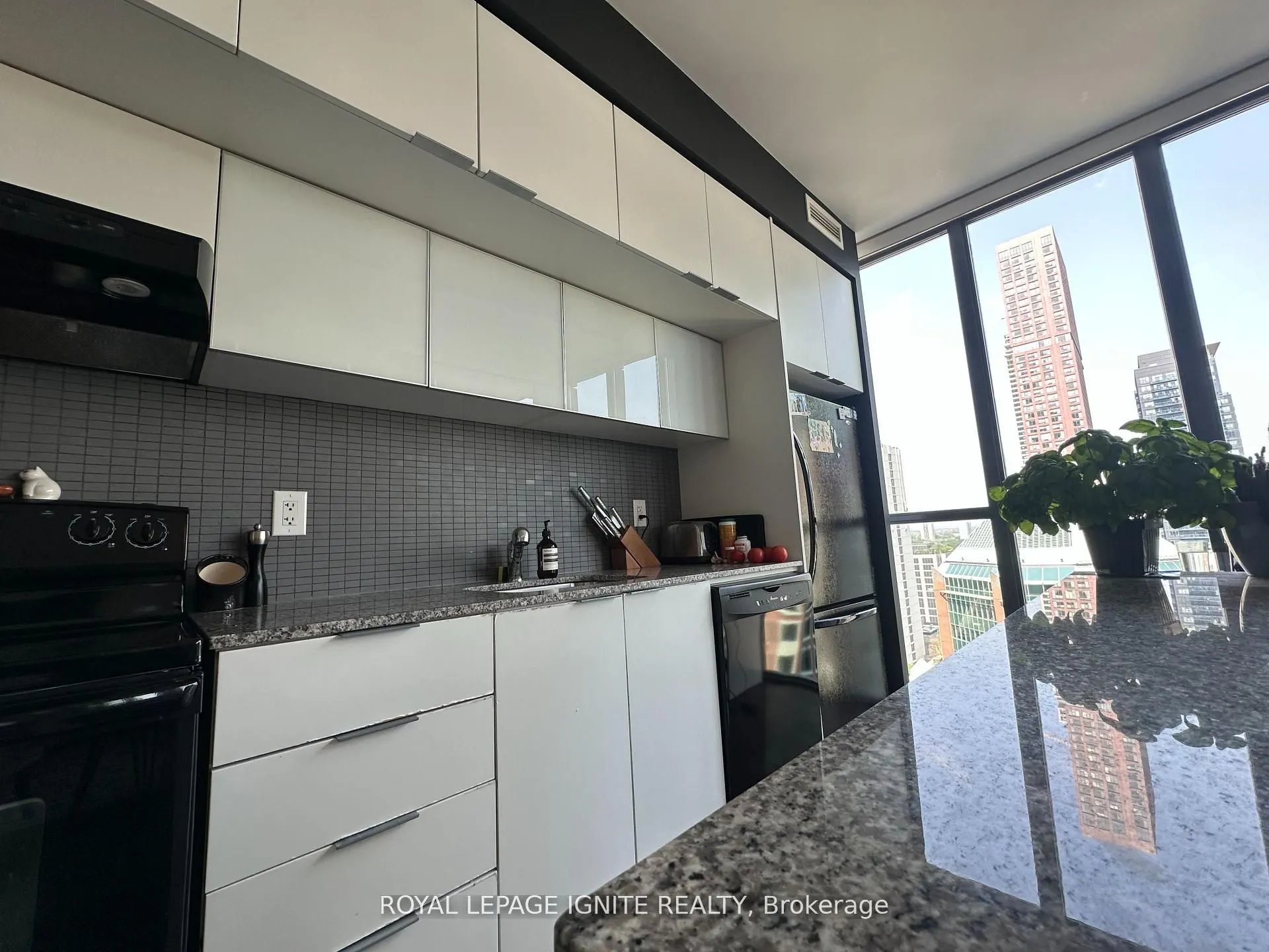 110 Charles Street E, #1809