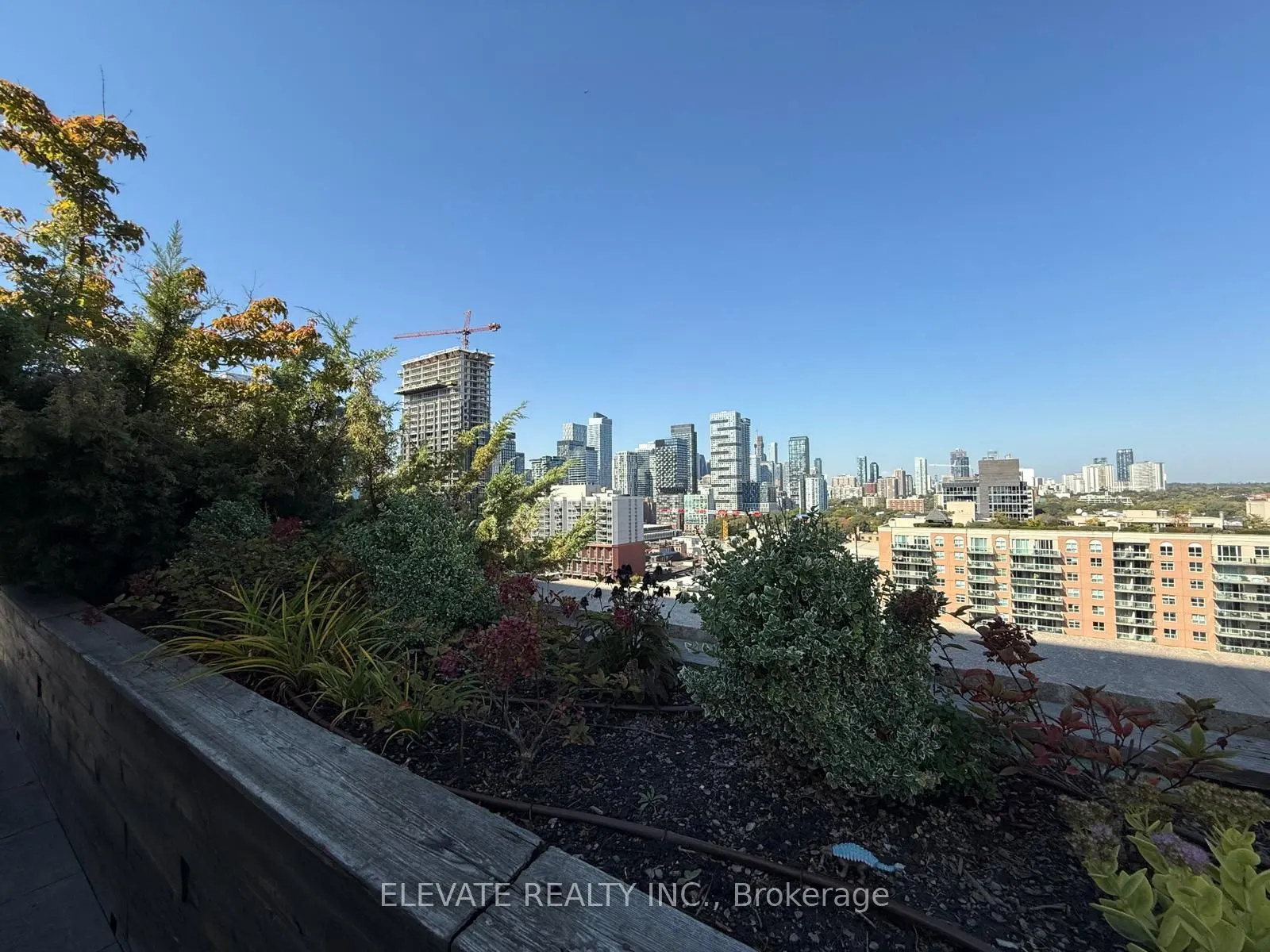 230 King Street E, #1216
