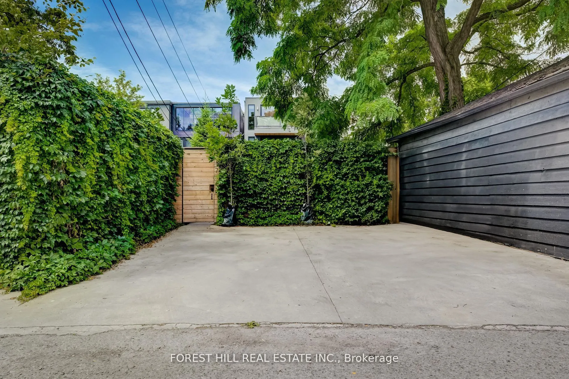 117 Robert Street, #4