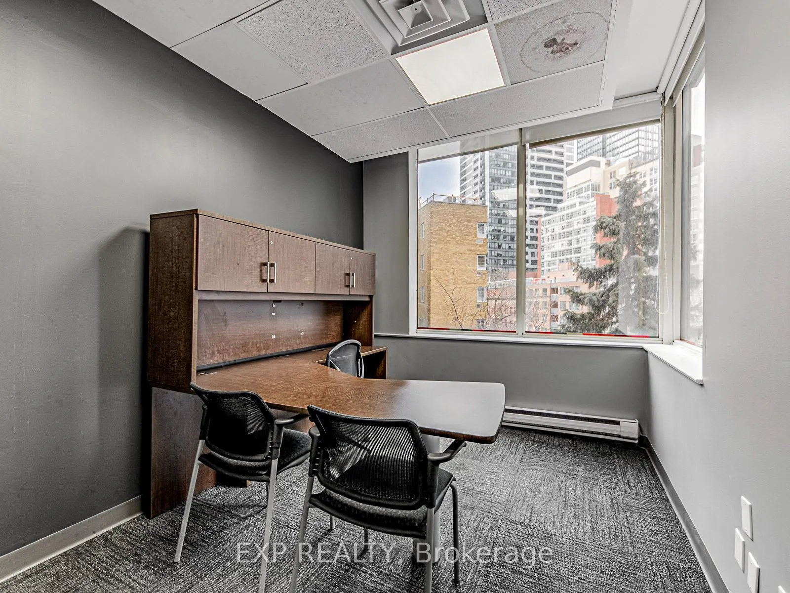 1033 Bay Street, #317