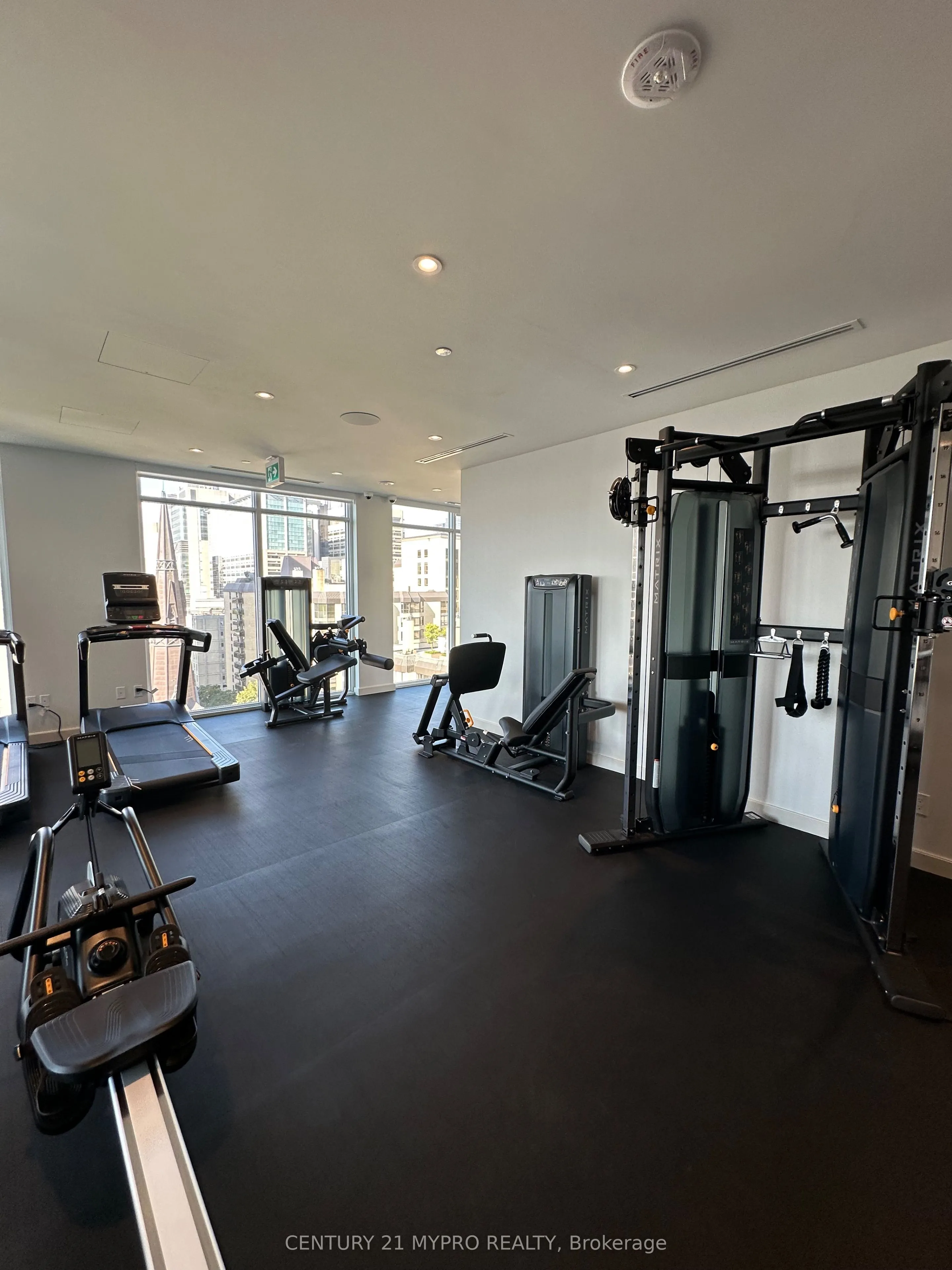 280 Dundas Street W, #1204