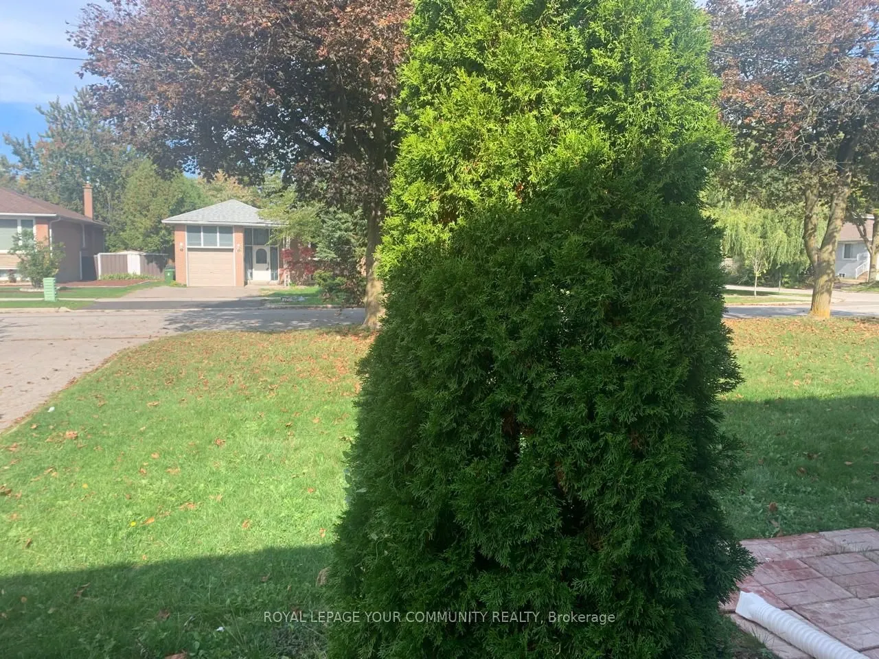151 Goulding Avenue, #Lower Unit