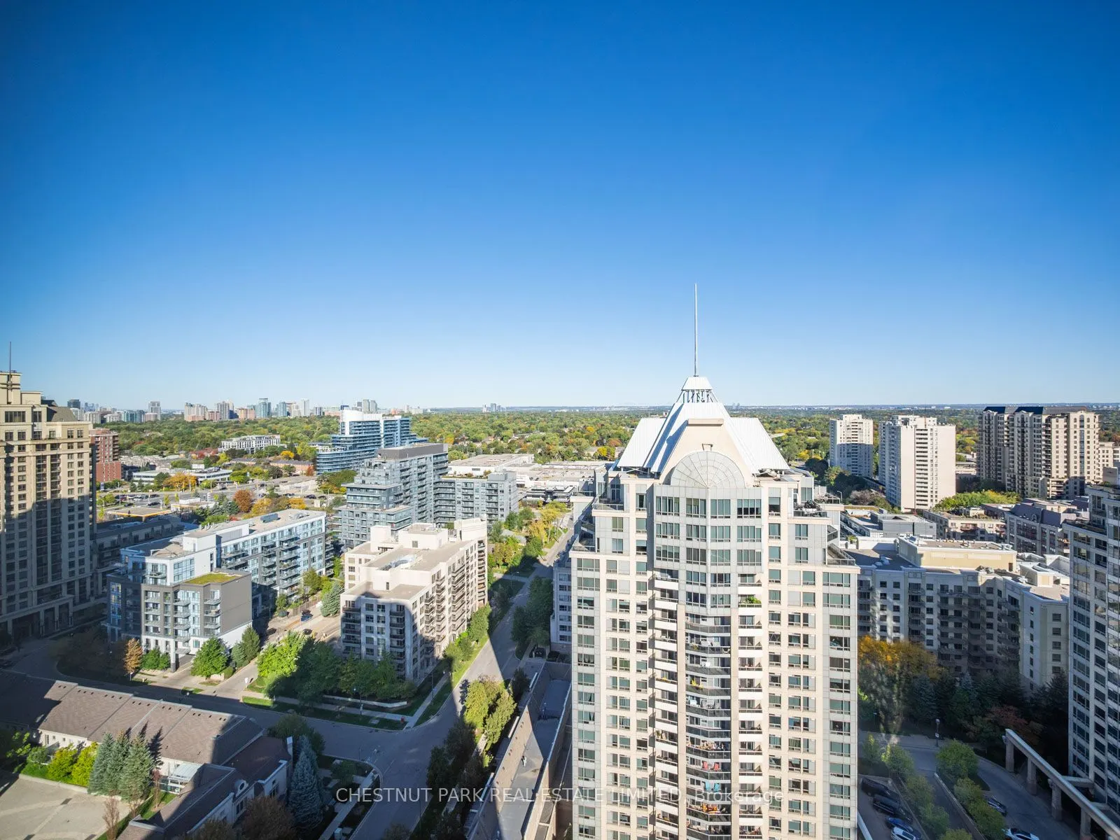 1 Rean Drive, #2503