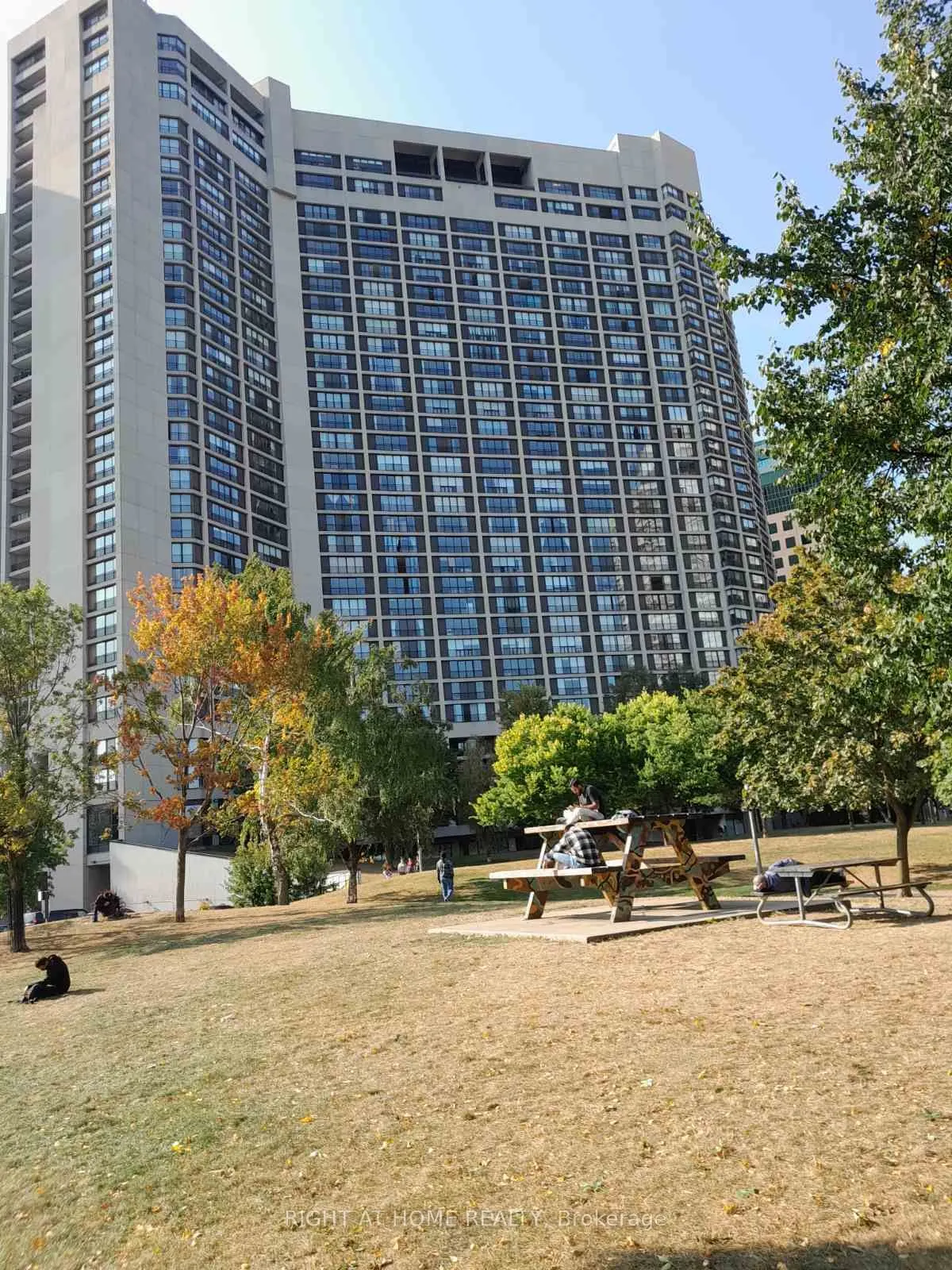 33 Harbour Square, #3240