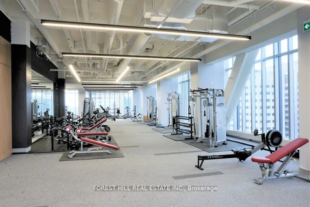488 University Avenue, #3410