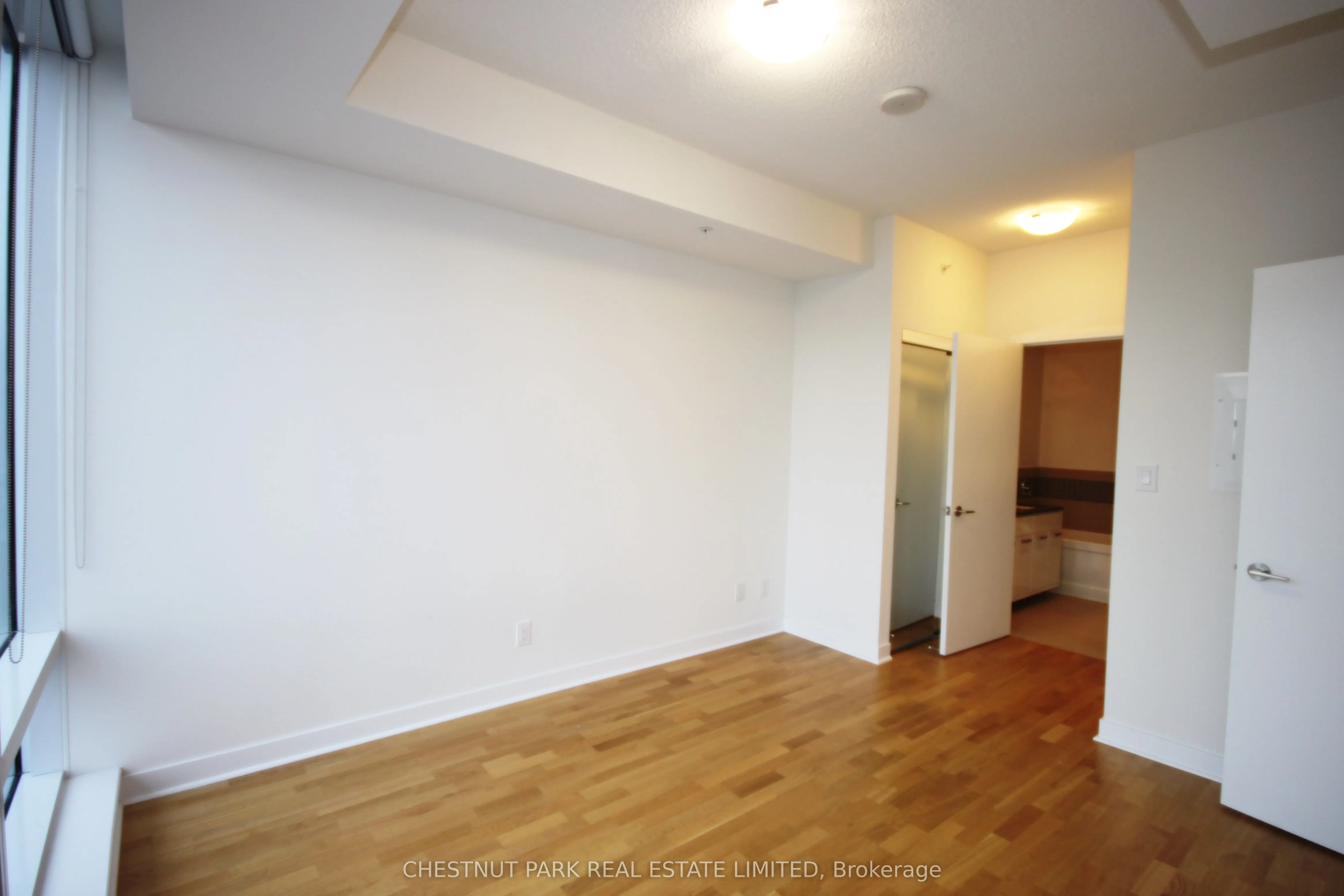295 Adelaide Street W, #3104