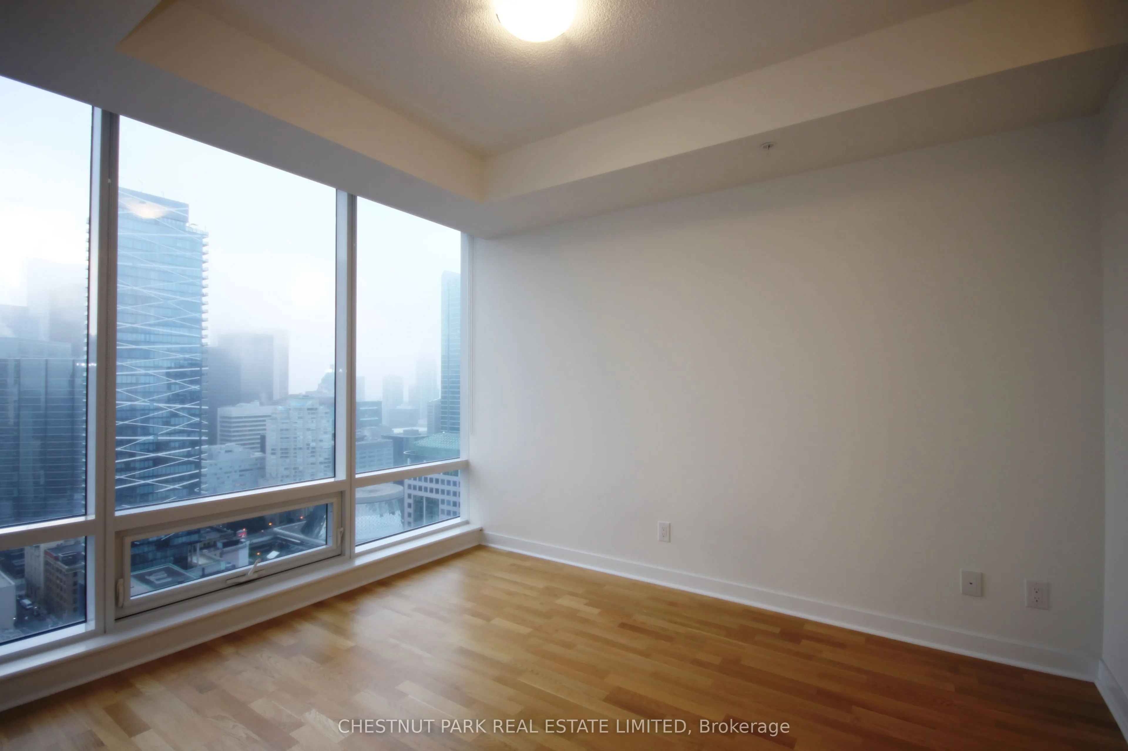 295 Adelaide Street W, #3104