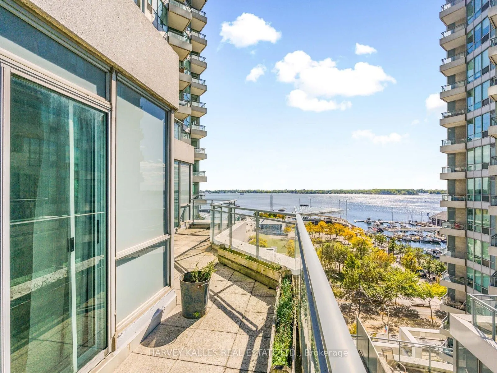 228 Queens Quay W, #1115