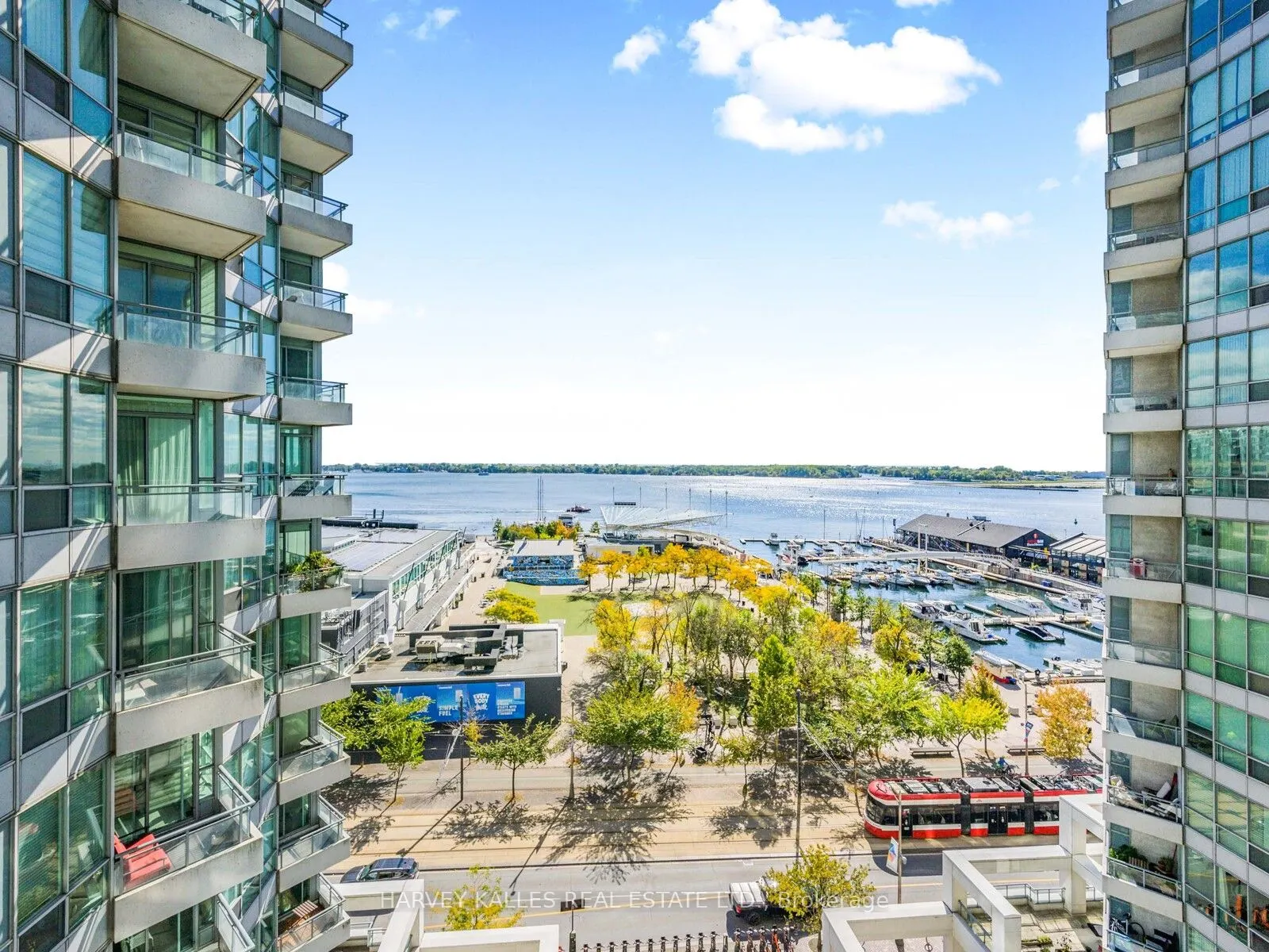 228 Queens Quay W, #1115