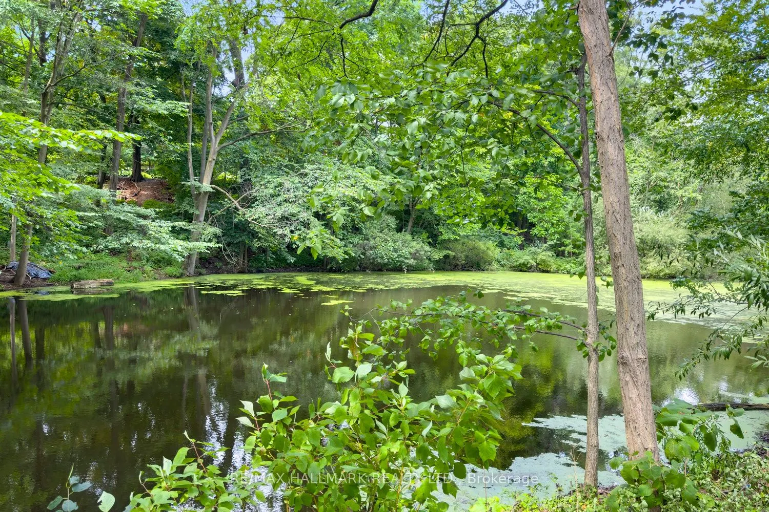 78 Wychwood Park
