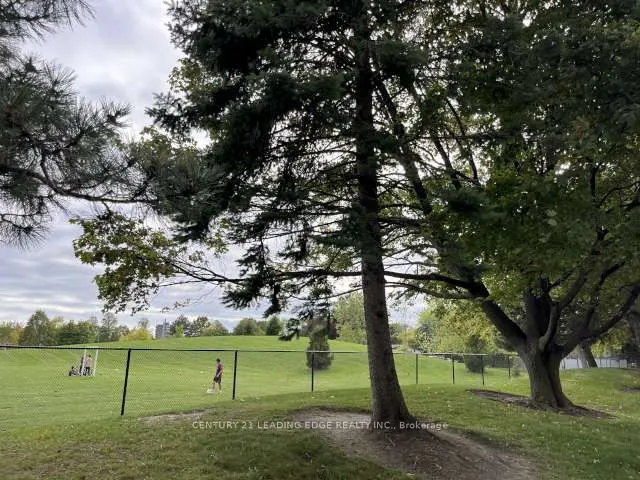 1555 Finch Avenue E, #503