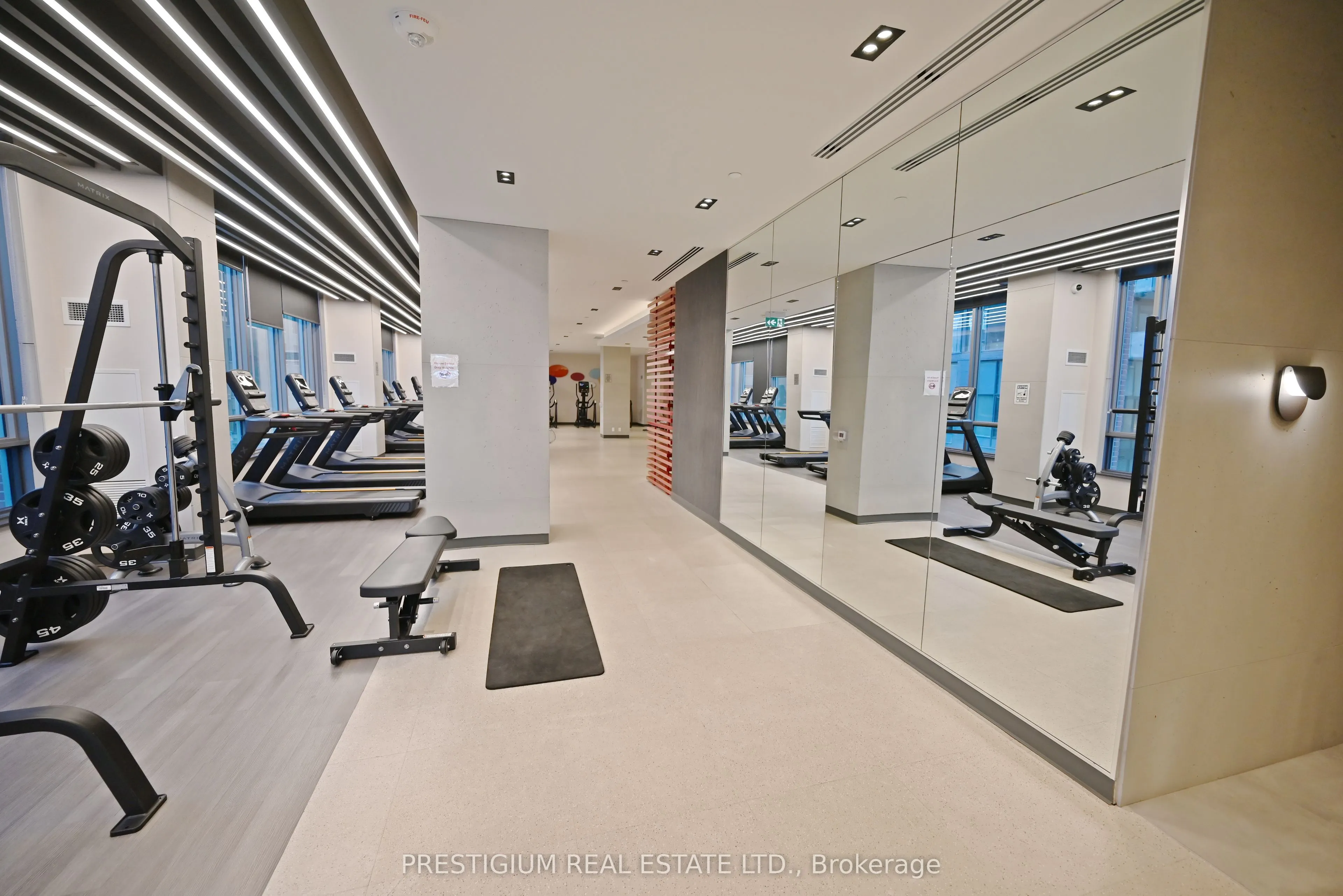 108 Peter Street, #3510