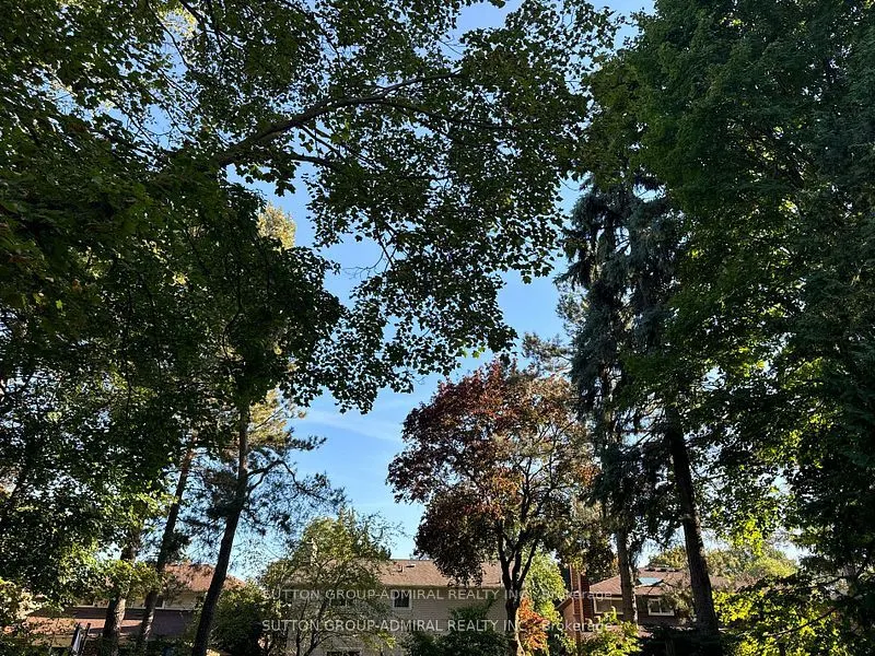 53 Bestview Drive