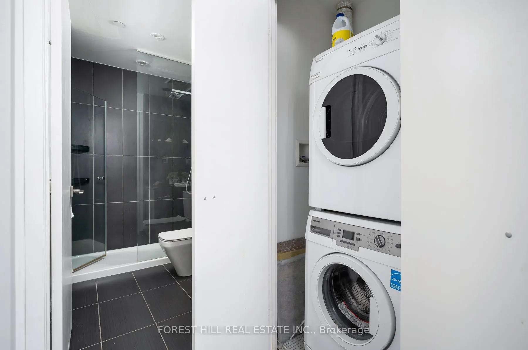 70 Temperance St Street, #2517