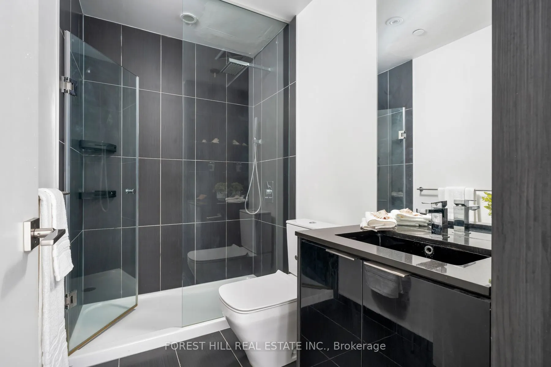 70 Temperance St Street, #2517