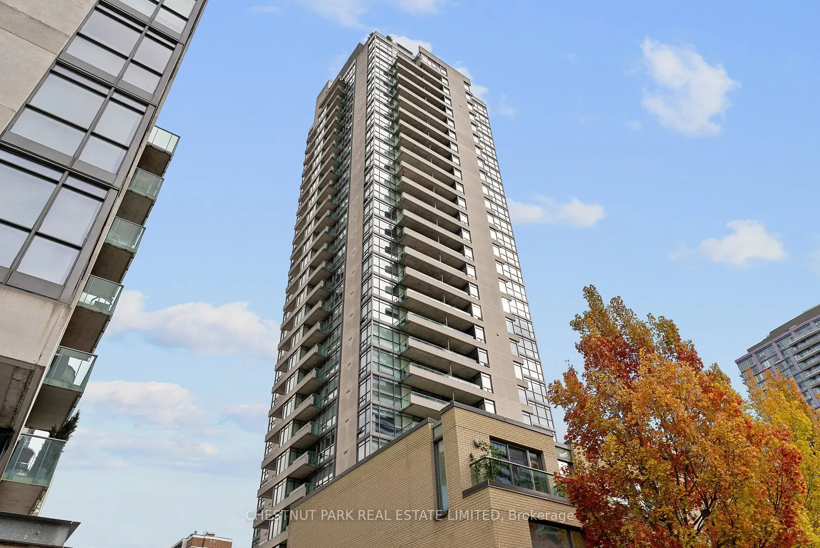 281 Mutual Street, #2502