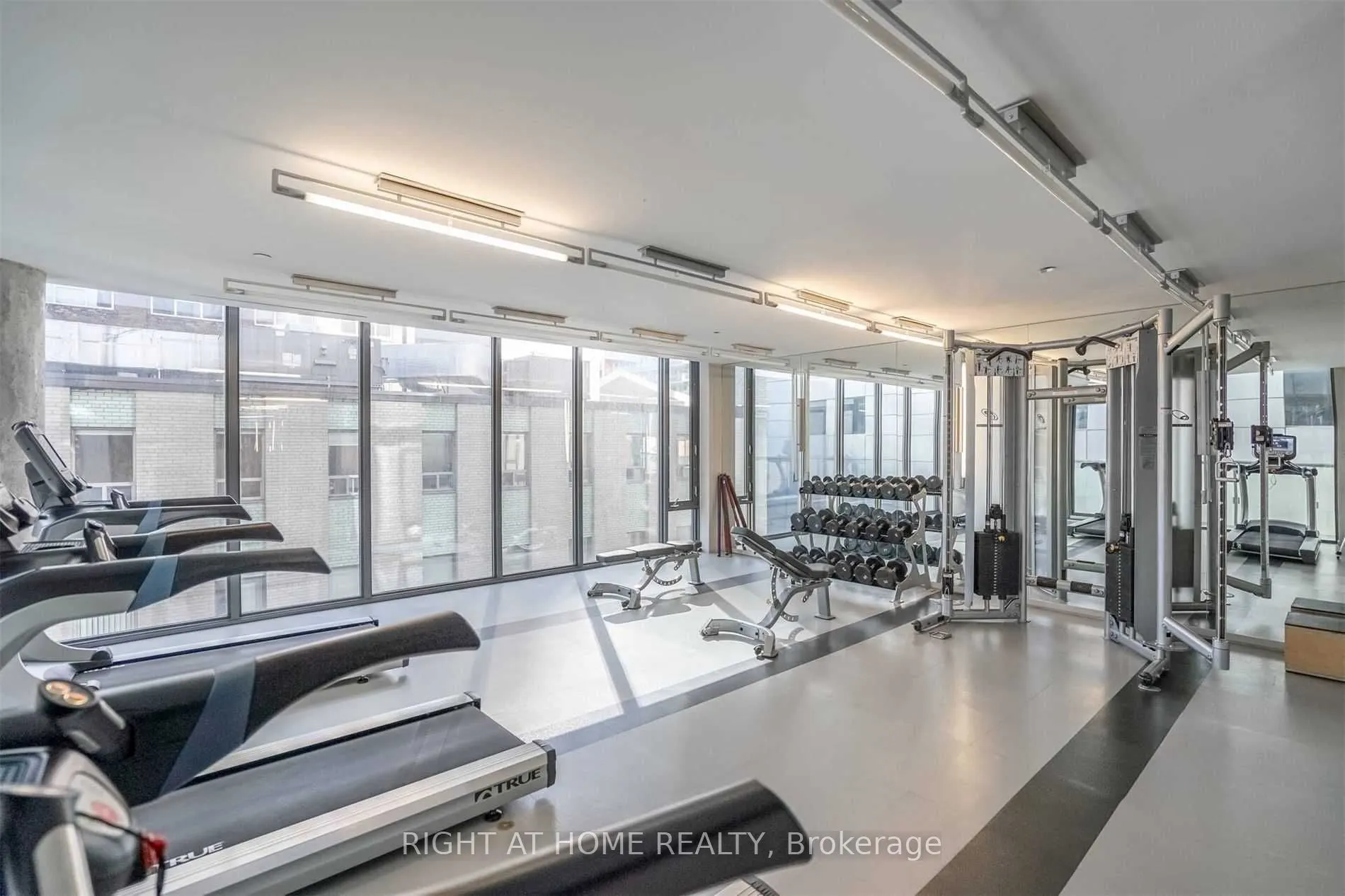 101 Peter Street, #3406