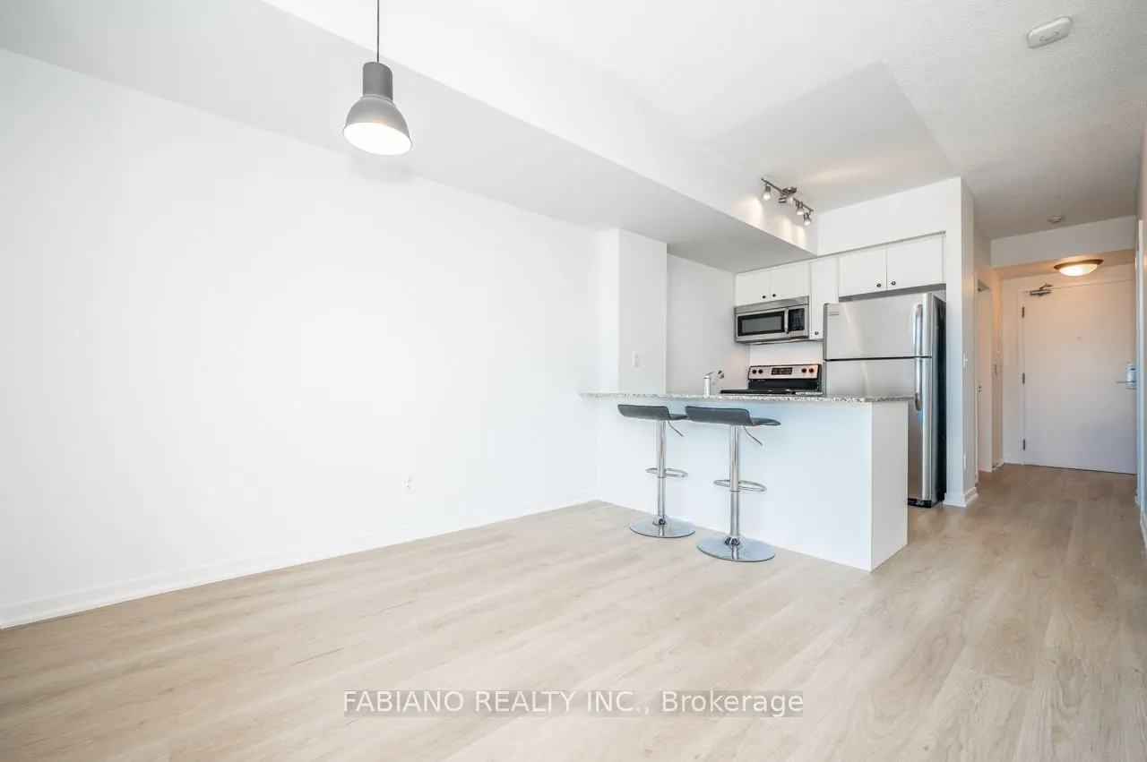 59 East Liberty Street, #909
