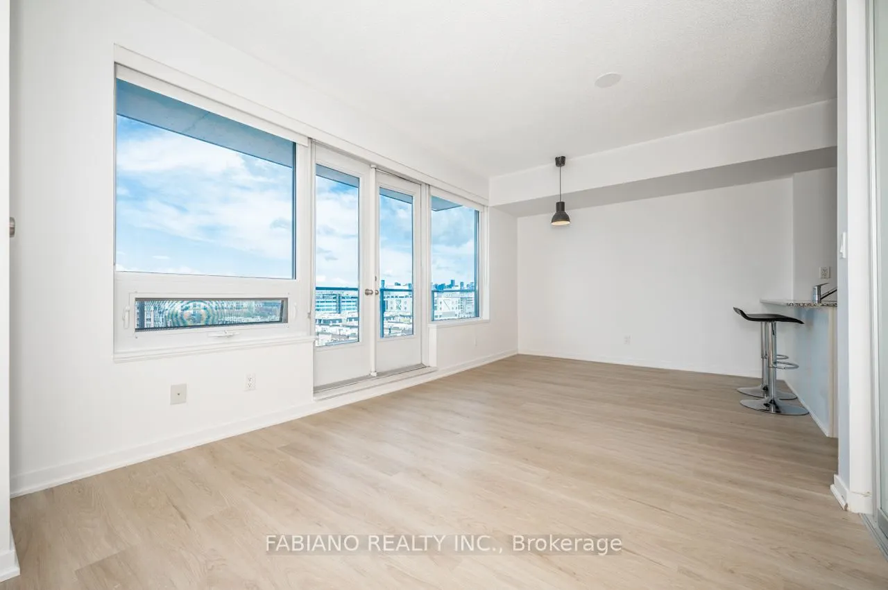 59 East Liberty Street, #909
