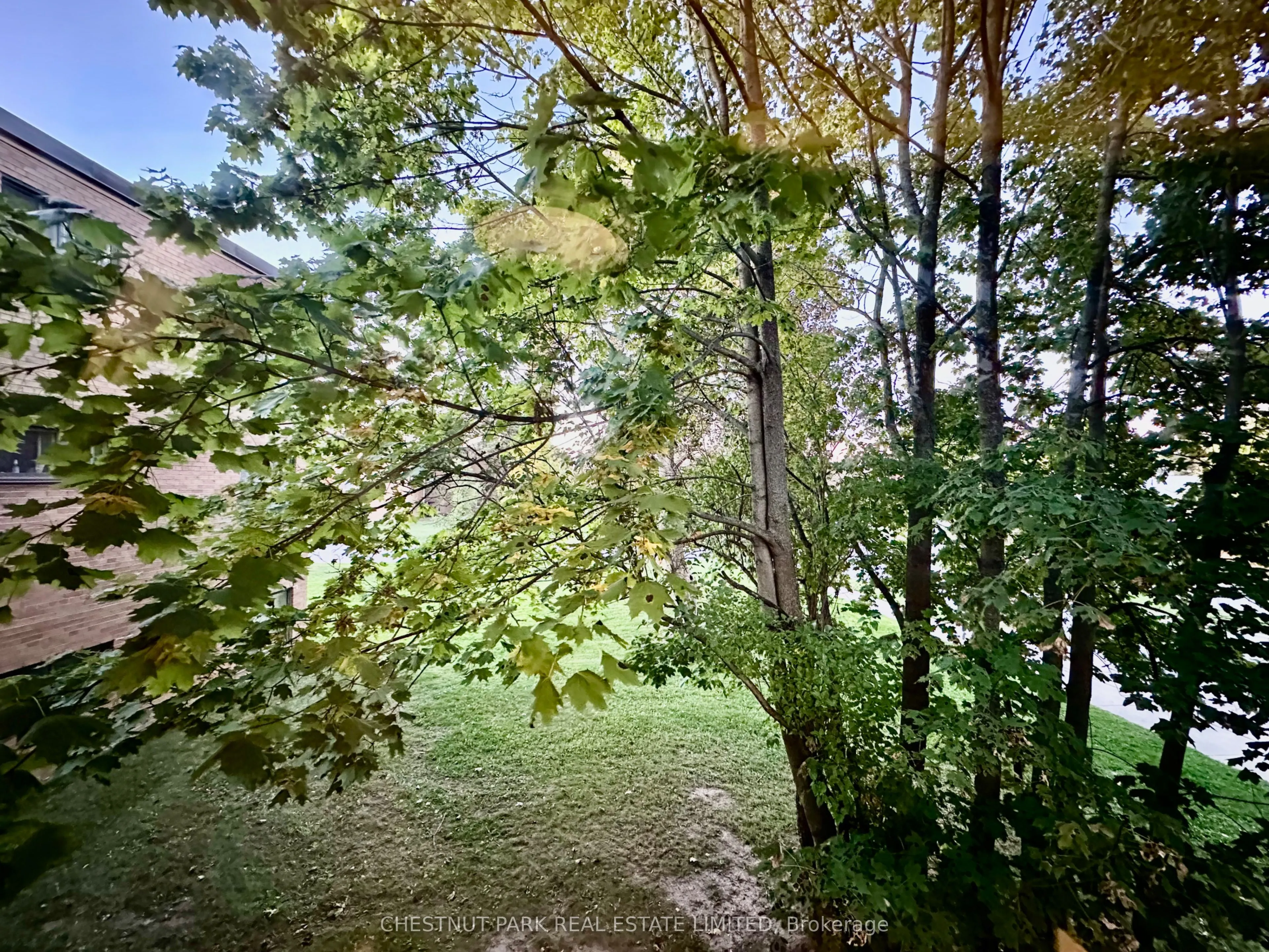 1 Wingreen Court, #5