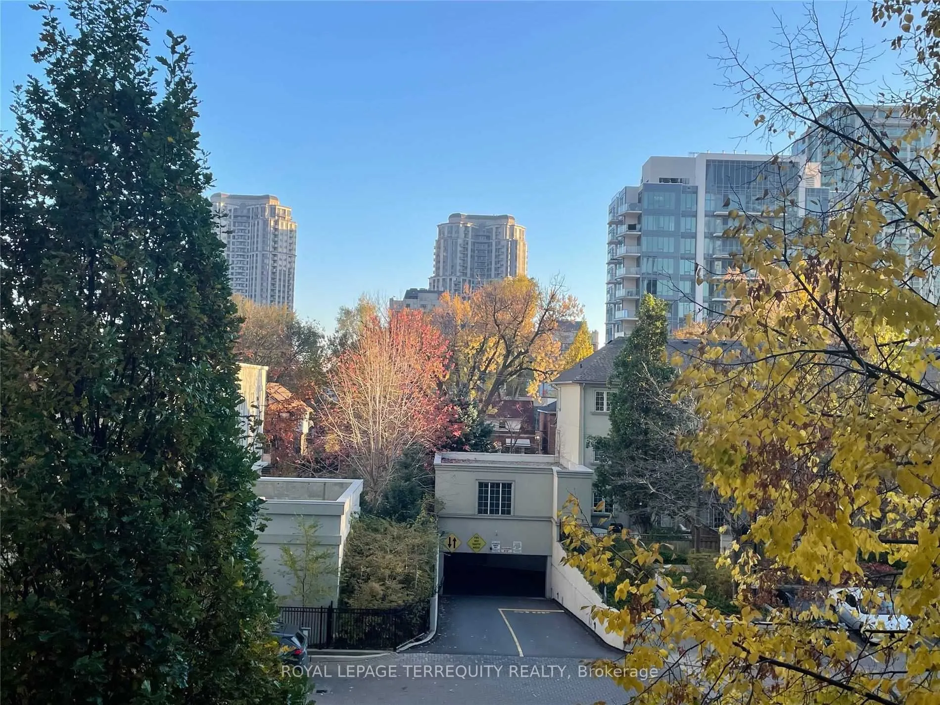 31 Bales Avenue, #311