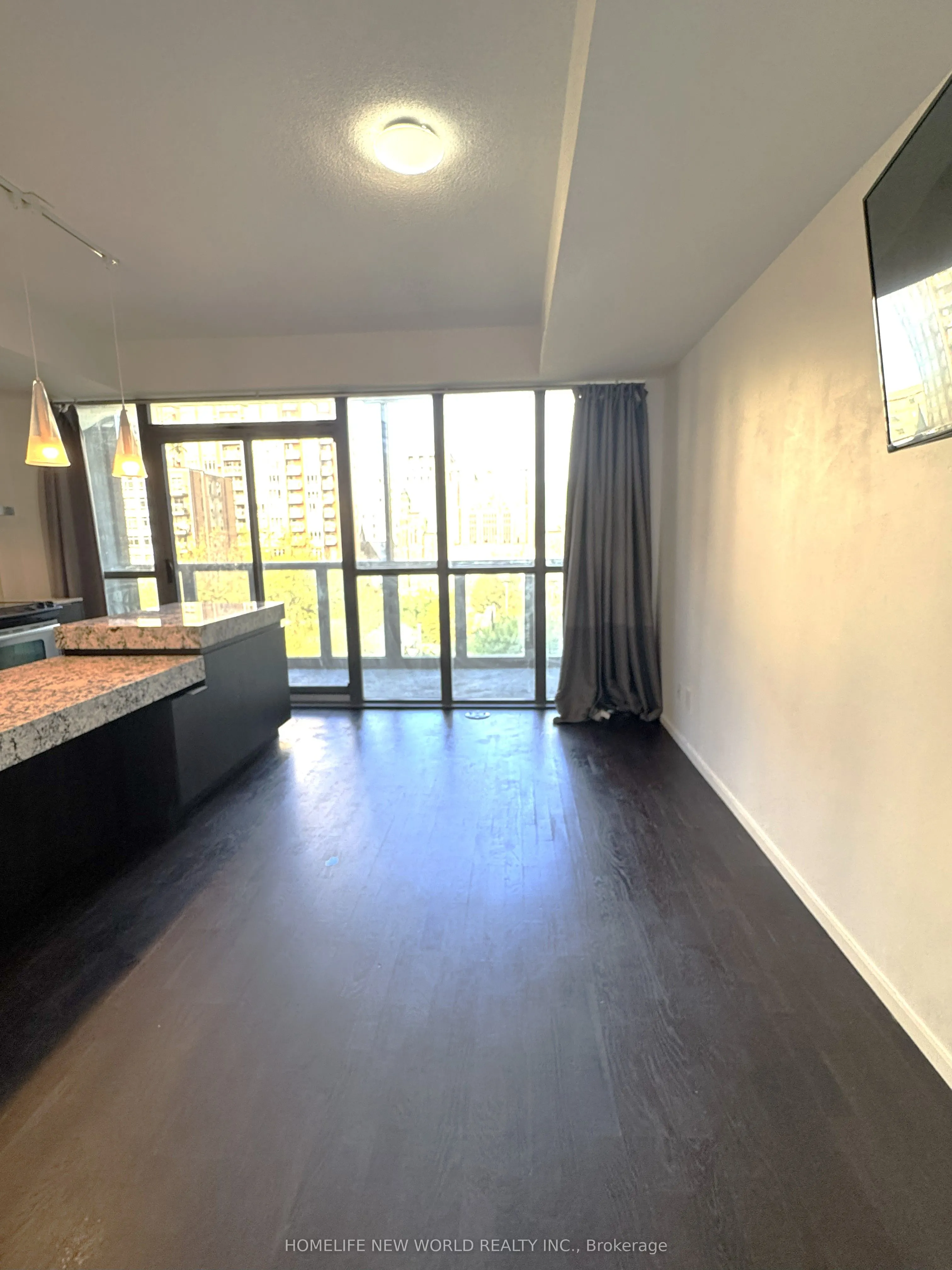 101 Charles Street E, #607