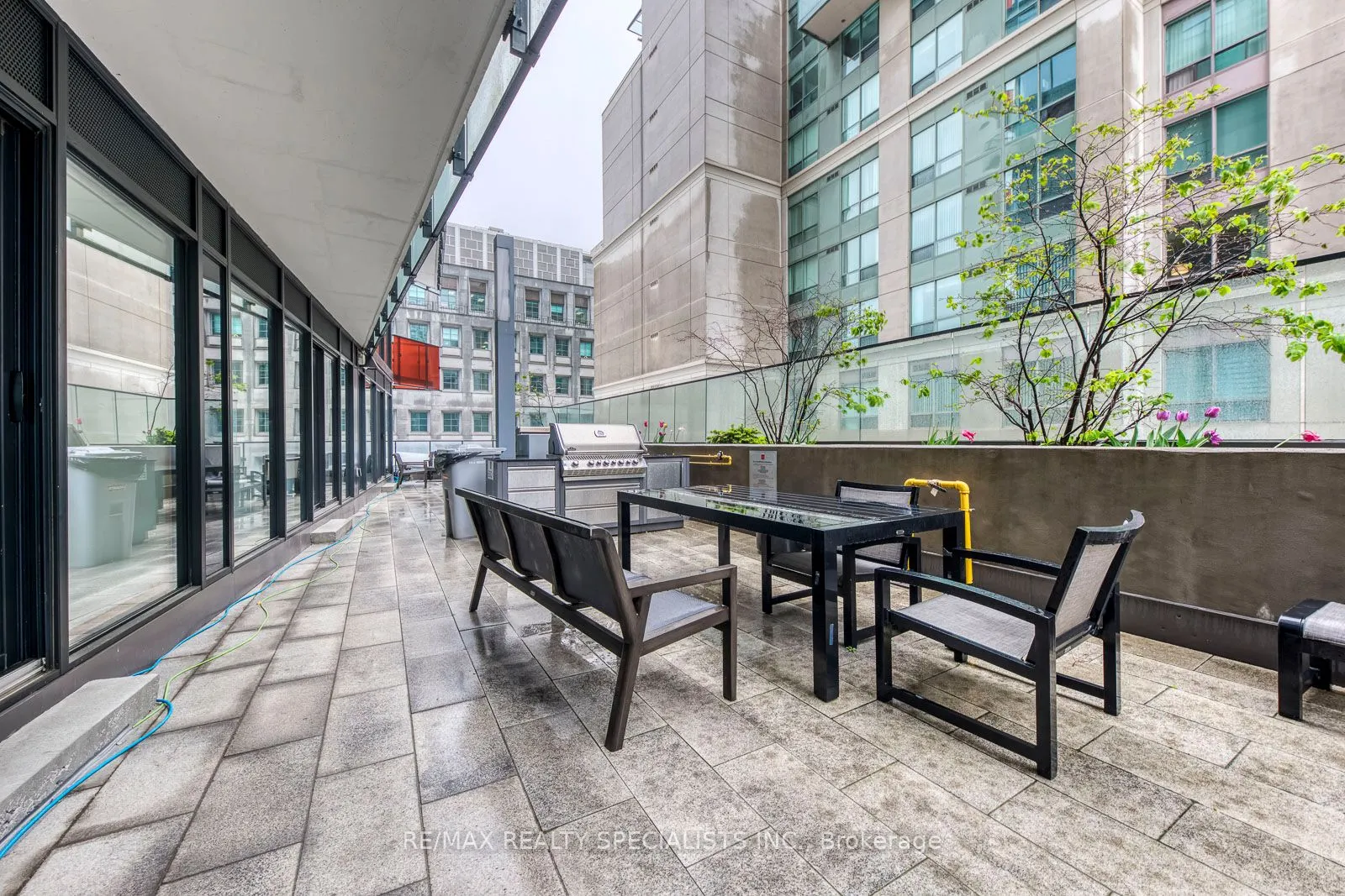 215 Queen Street W, #1405