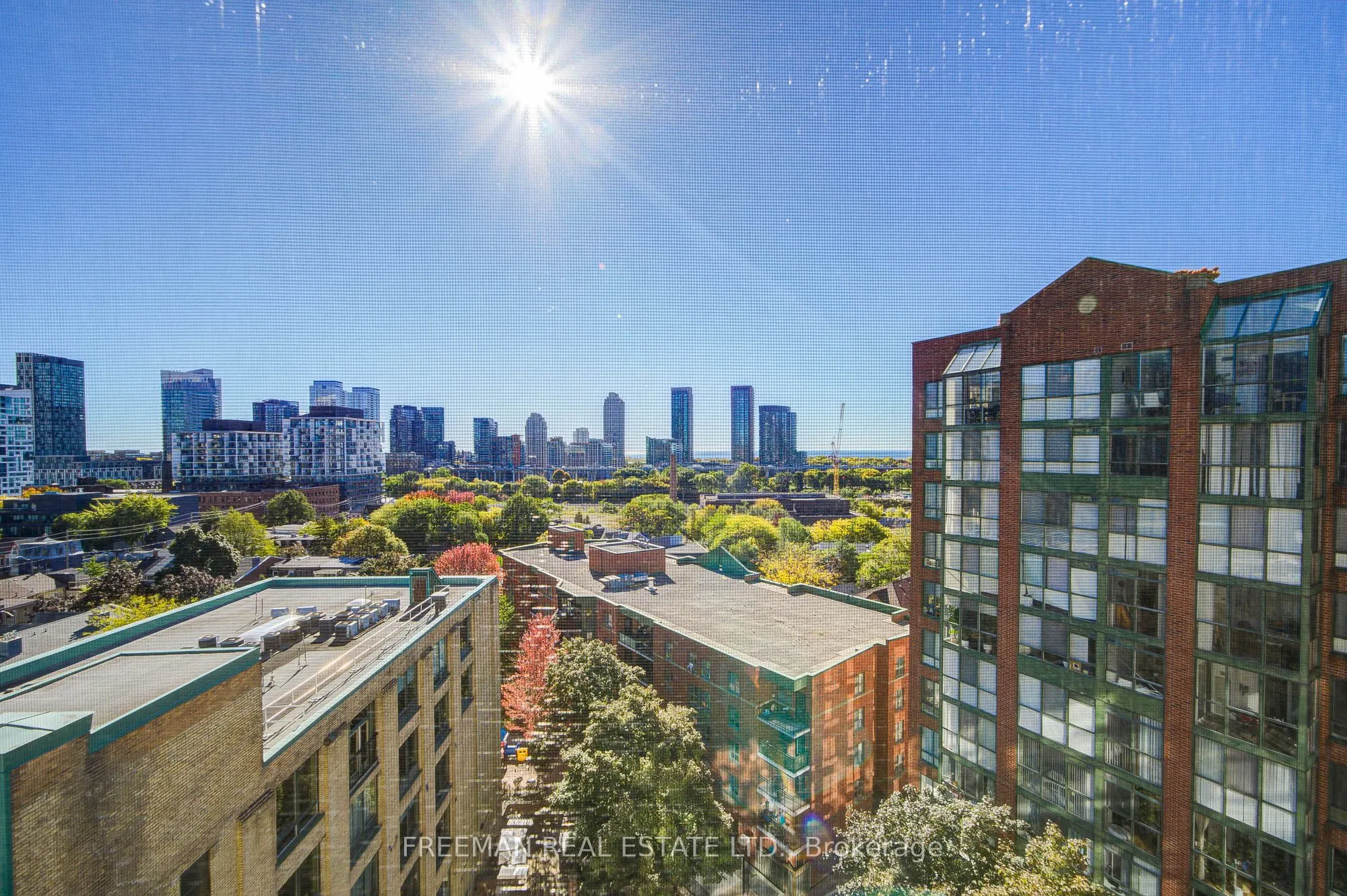 801 King Street W, #1124