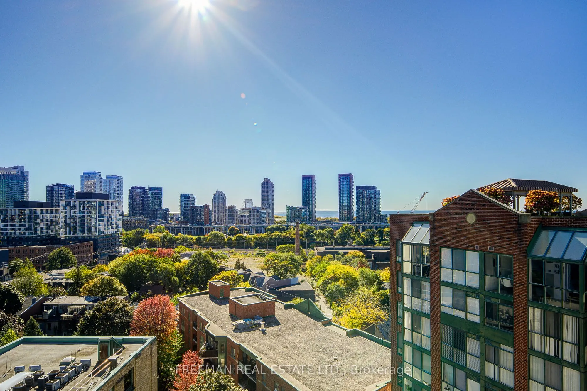 801 King Street W, #1124