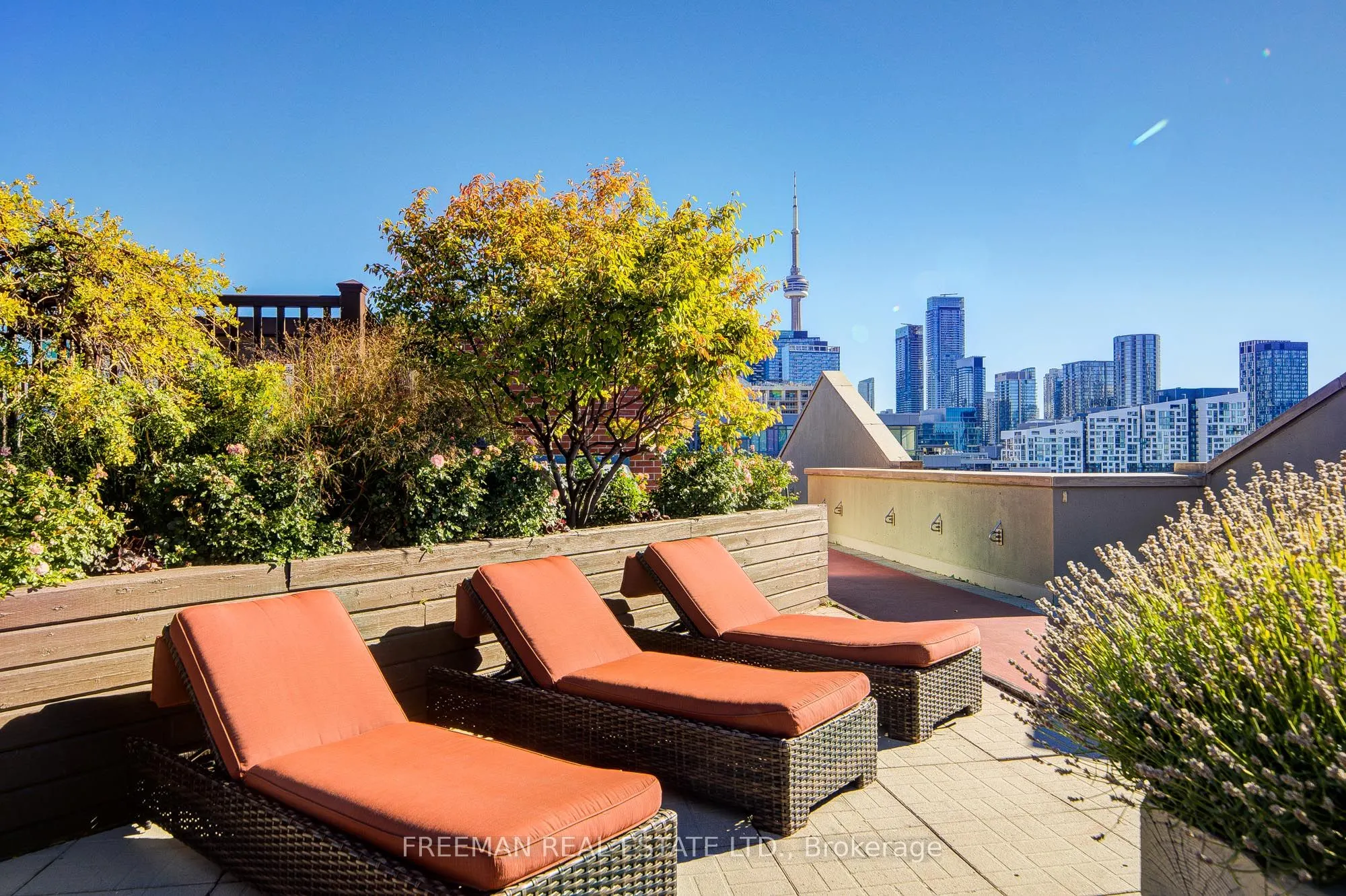 801 King Street W, #1124