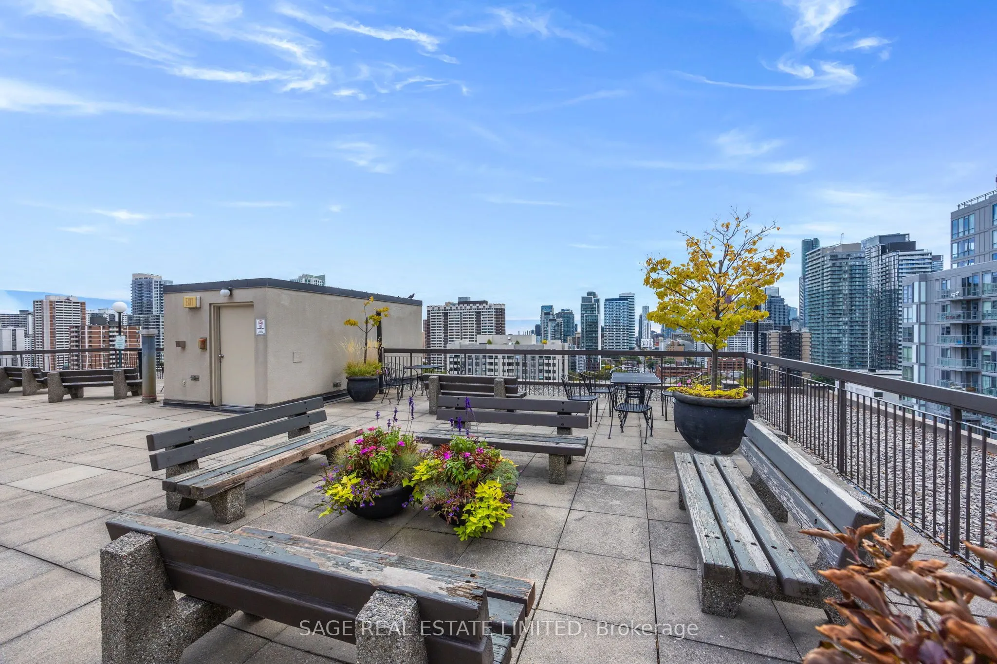 71 Charles Street E, #1202