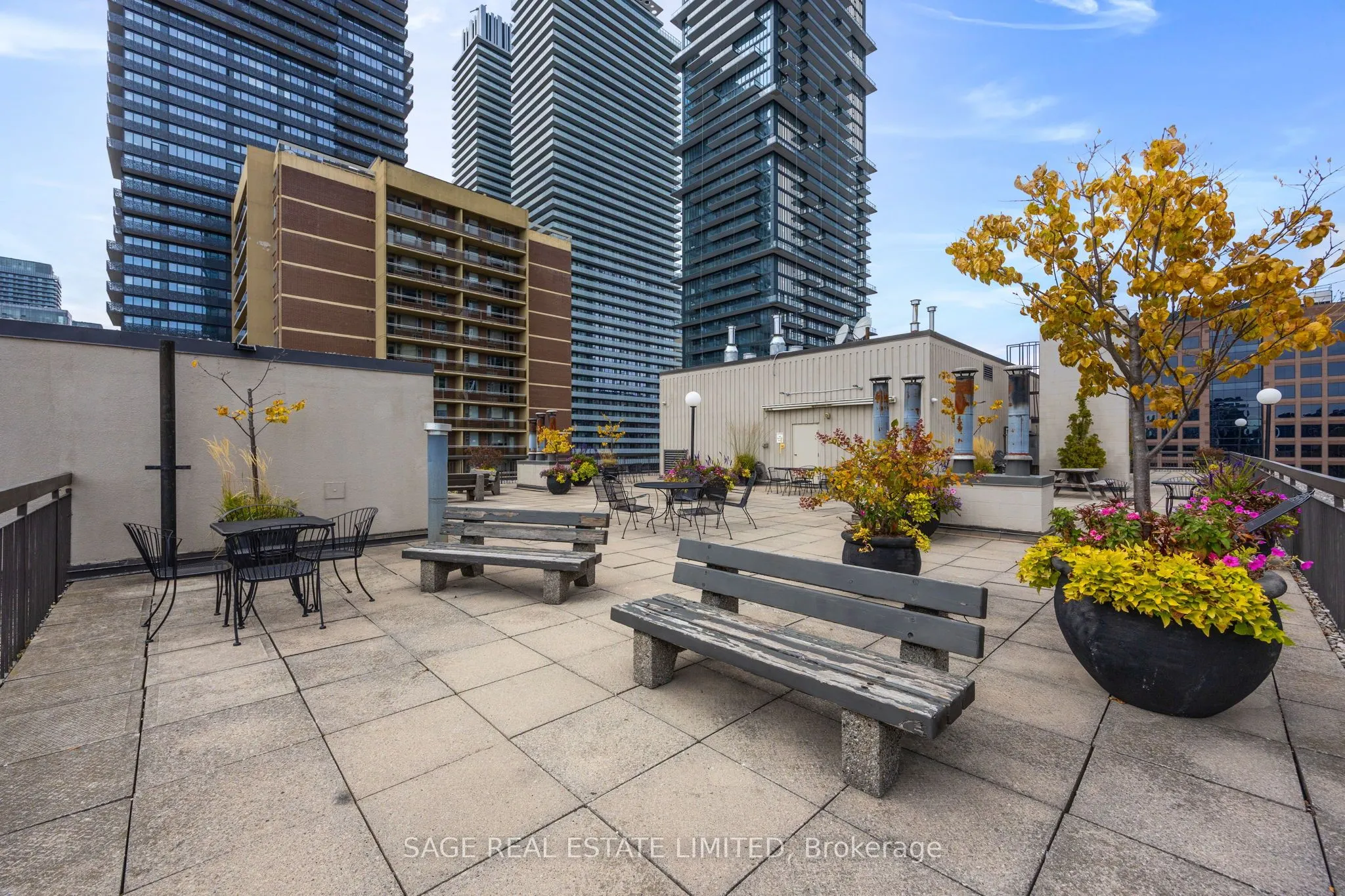 71 Charles Street E, #1202