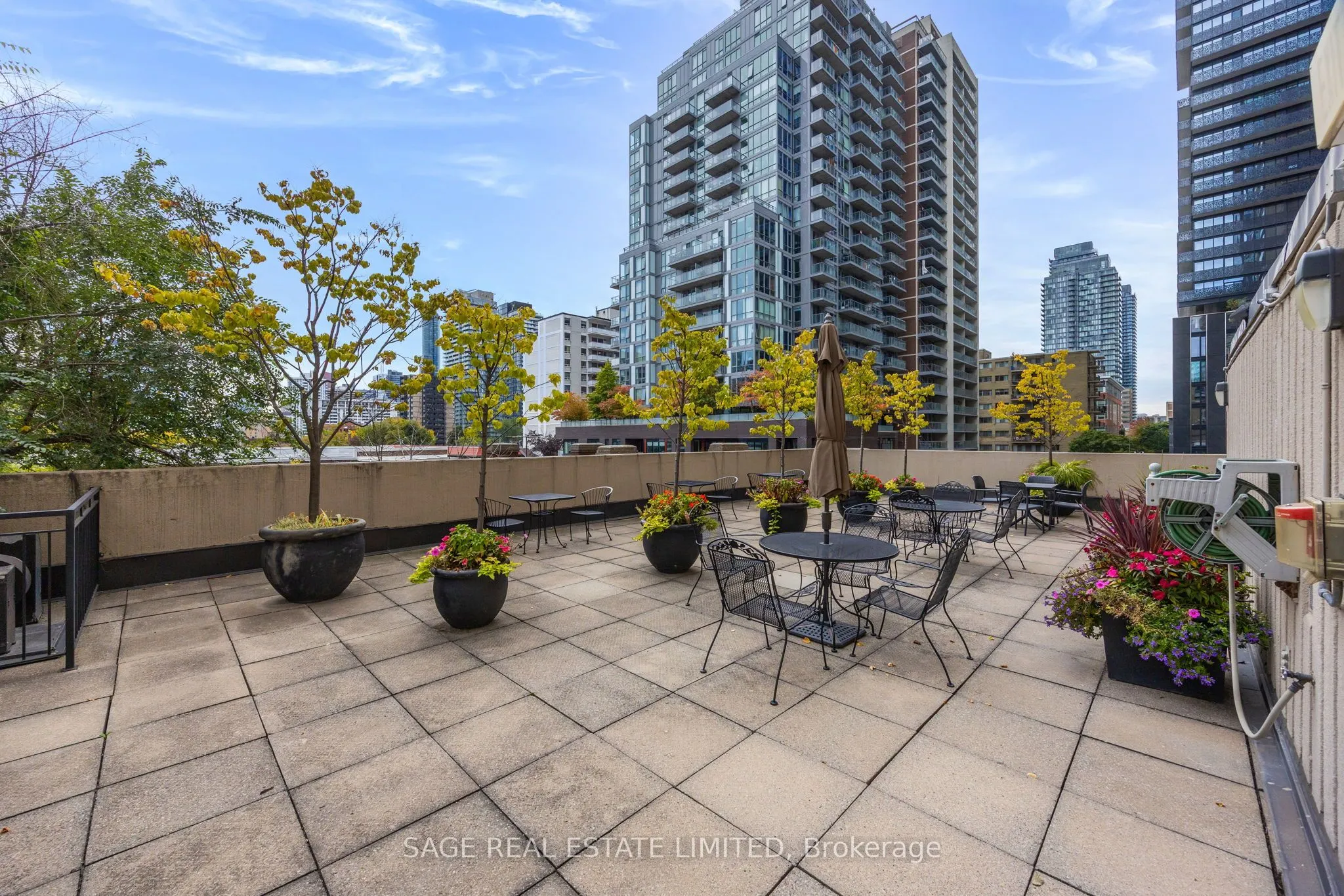 71 Charles Street E, #1202