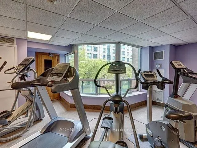 109 Front Street E, #529
