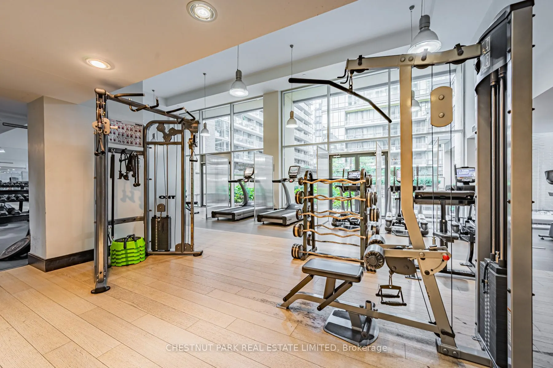 438 King Street W, #308