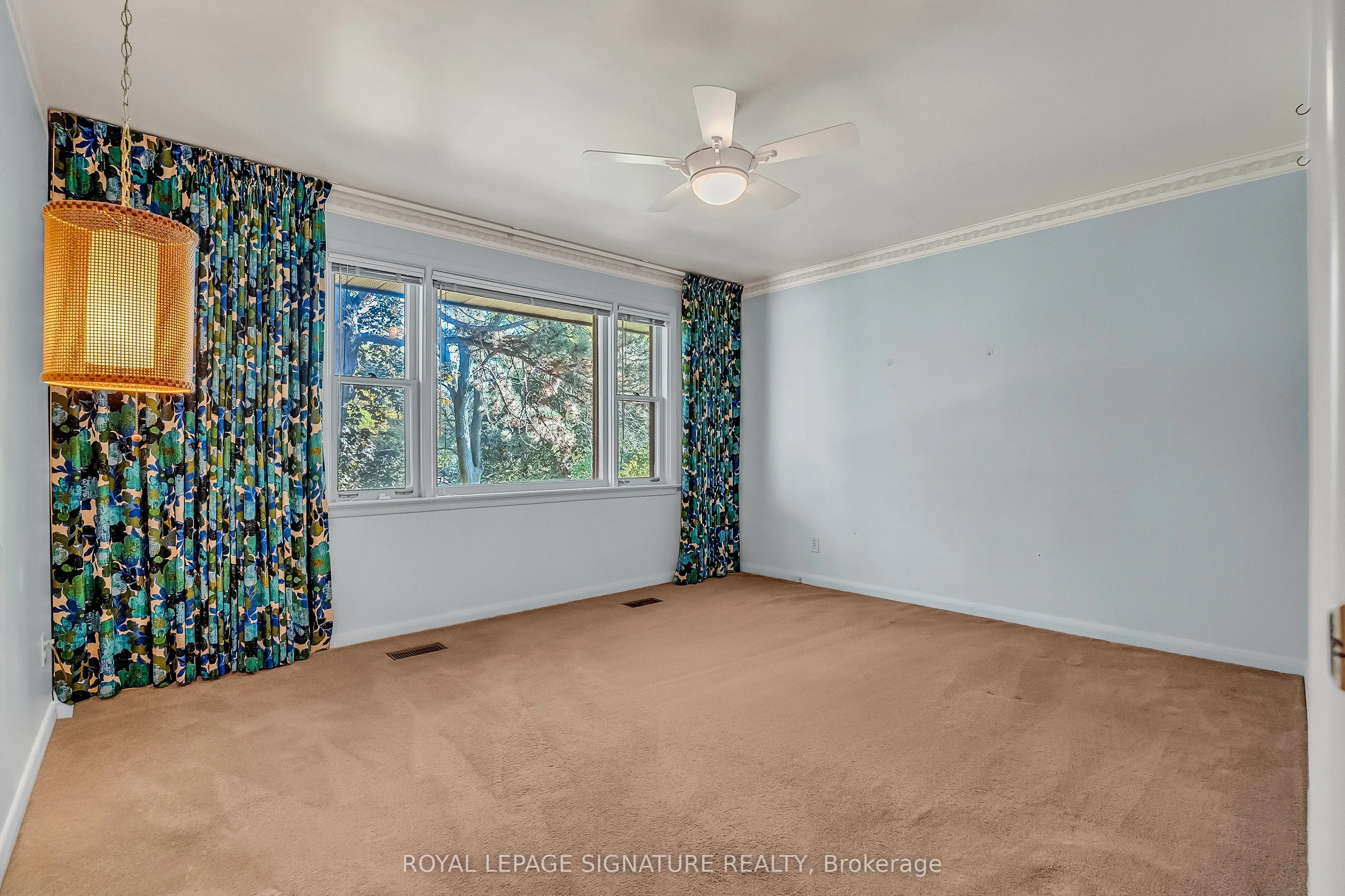 24 Hockley Place